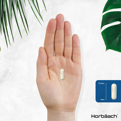 L-Methylfolate 1000ug | 200 Capsules | 5-MTHF Folate Supplement | Active Form HorbäachUS supplements