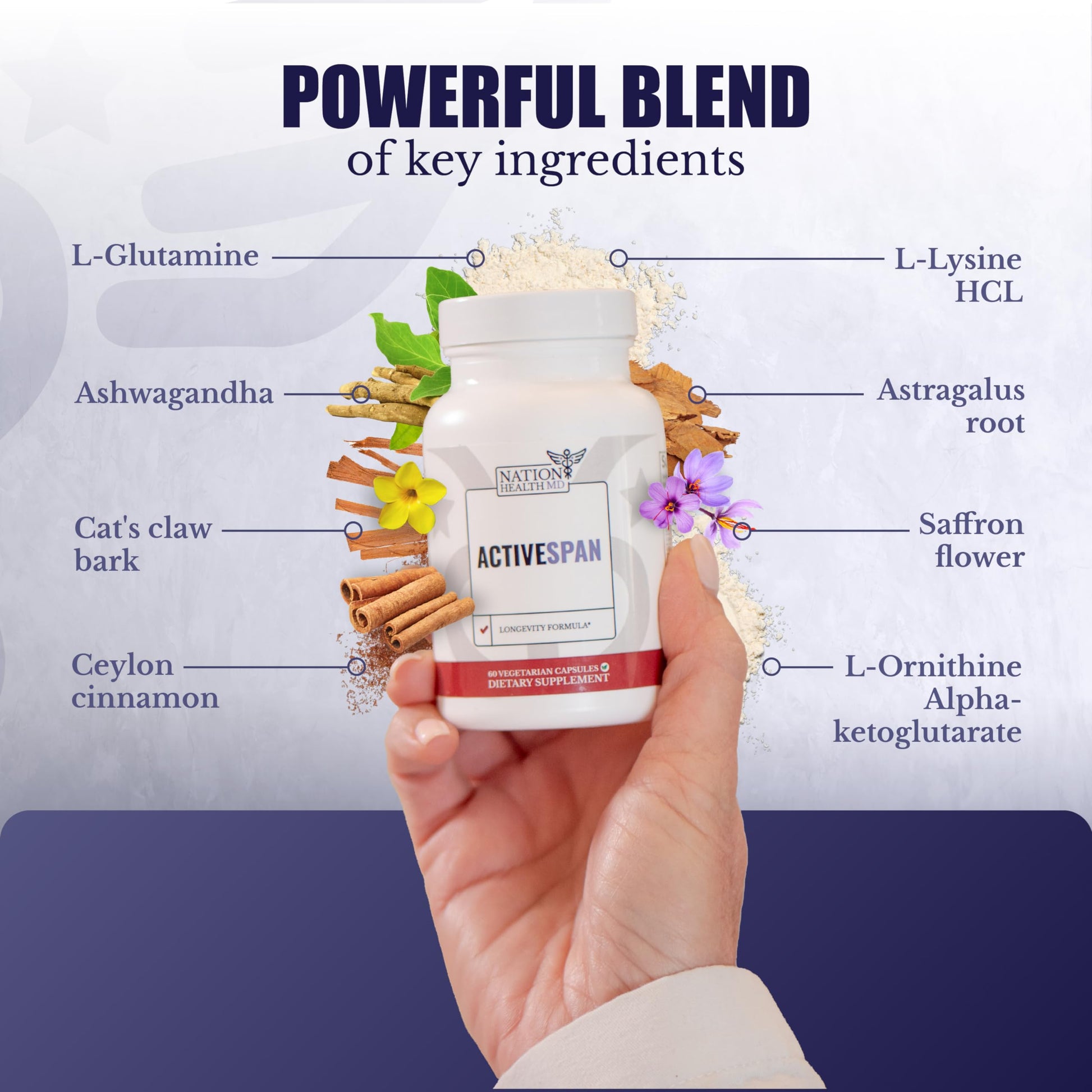 NATION HEALTH MD ActiveSpan - Longevity Supplement for Anti Aging - with Ashwagandha Extract, Astragalus, Cat's Claw, Ceylon Cinnamon, L-Lysine, L-Glutamine & More - 60 Capsules NATION HEALTH MDAu supplements