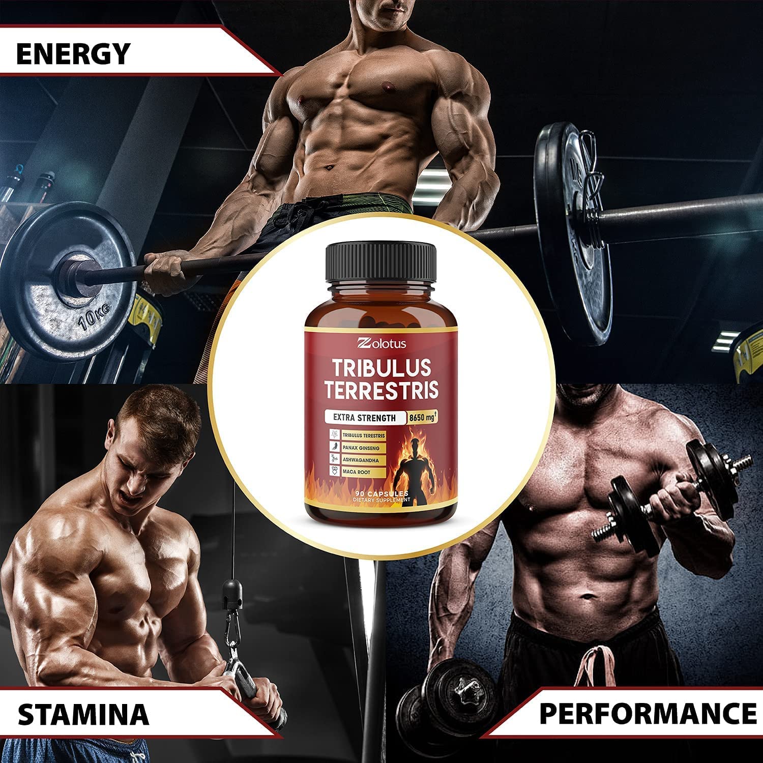 Zolotus Tribulus Terrestris, 8650mg Per Capsule, High Potency with Ashwagndha ZolotusAu supplements