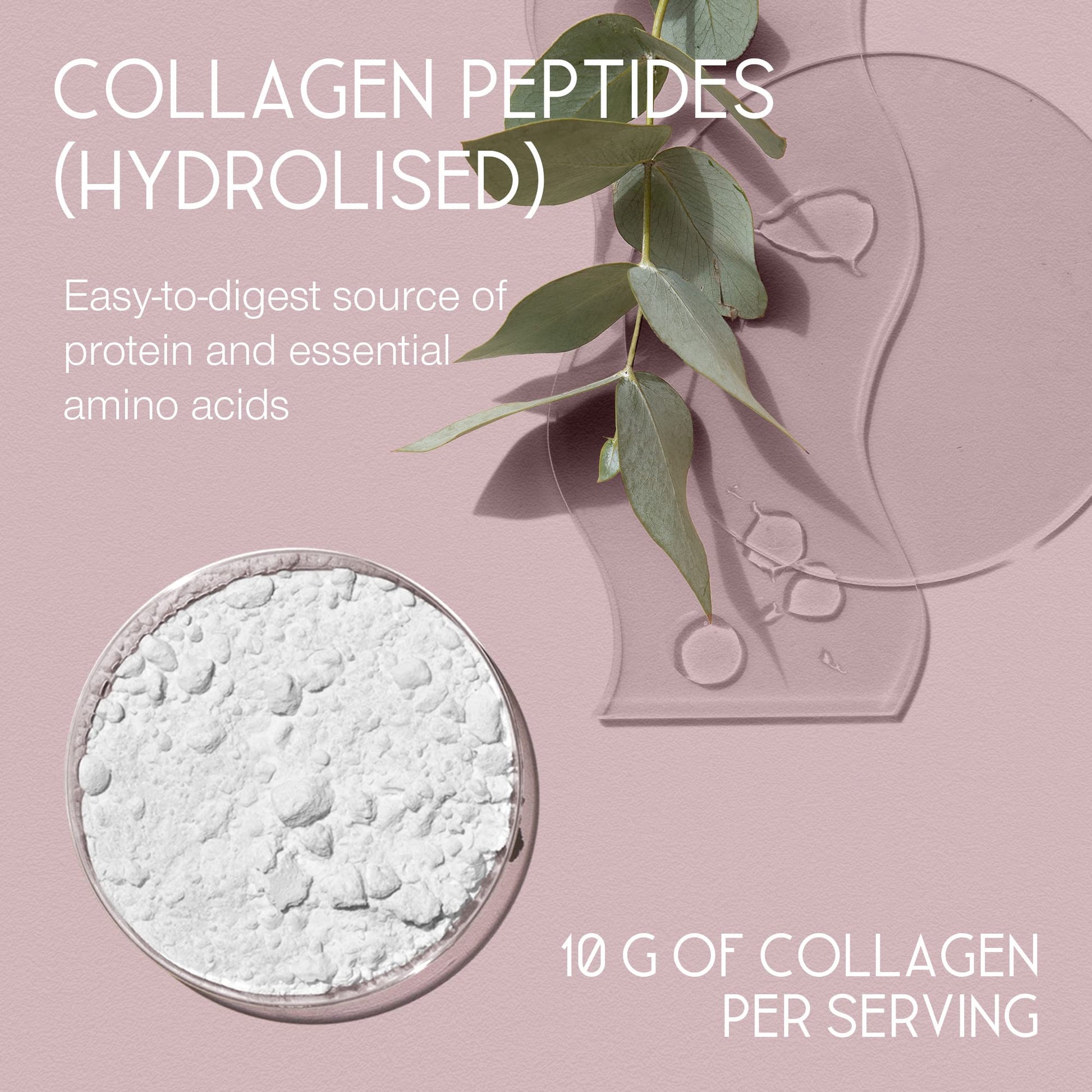 Premium Collagen Powder - Collagen Supplements for Women & Men - Pure Bovine Collagen Peptides 400g SuperSelfAu supplements