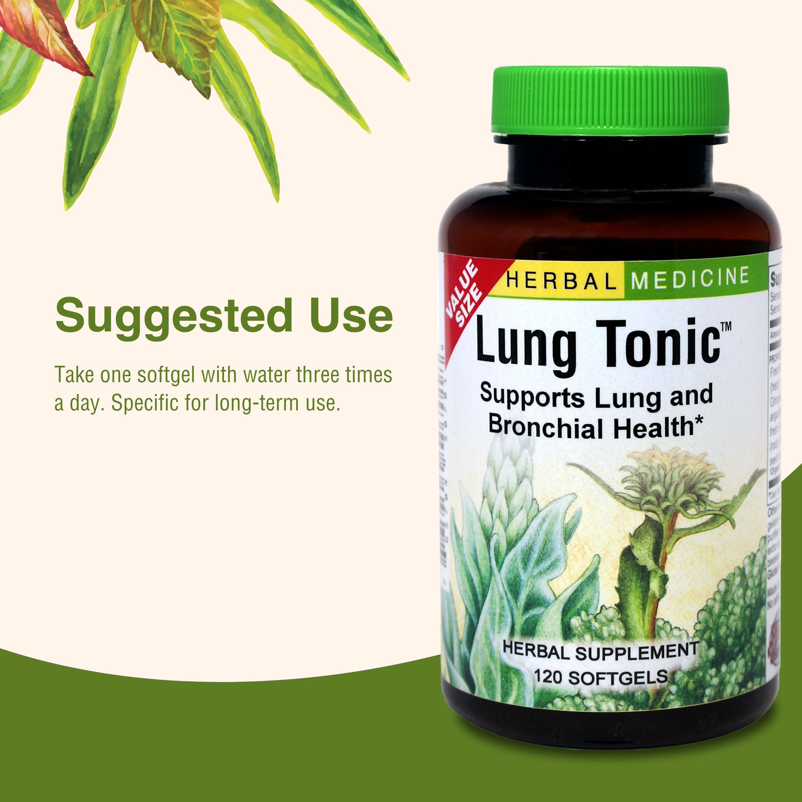 Herbs Etc. Lung Tonic - Lung Supplement for Bronchial Support - Healthy Breathing Support with Mullein, Horehound & Grindelia - 120 Softgels Herbs Etc.Au supplements