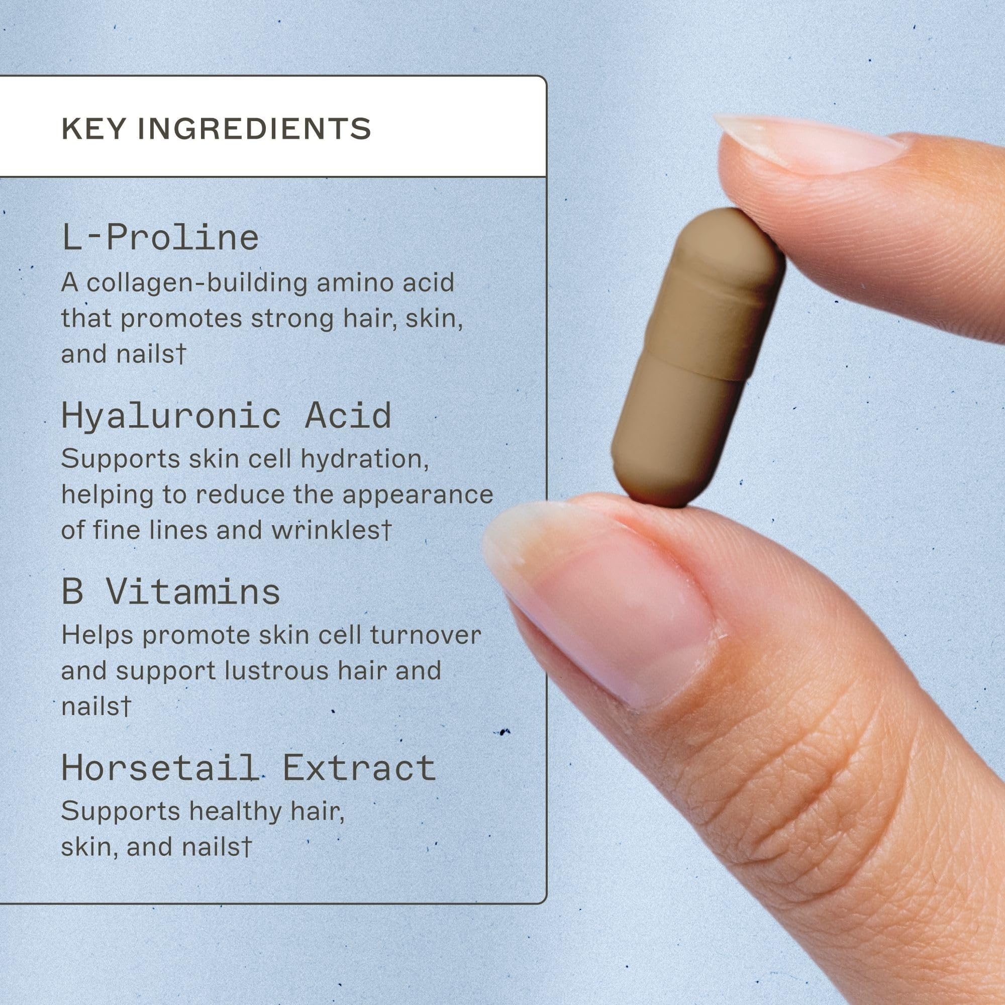 Amy Myers MD Hair Skin and Nails - Supports Strong Hair, Radiant Skin & Healthy Nails - L-Proline, Horsetail, Hyaluronic Acid - Gluten-Free - 120 Capsules (30 Servings) Amy Myers MDAu supplements