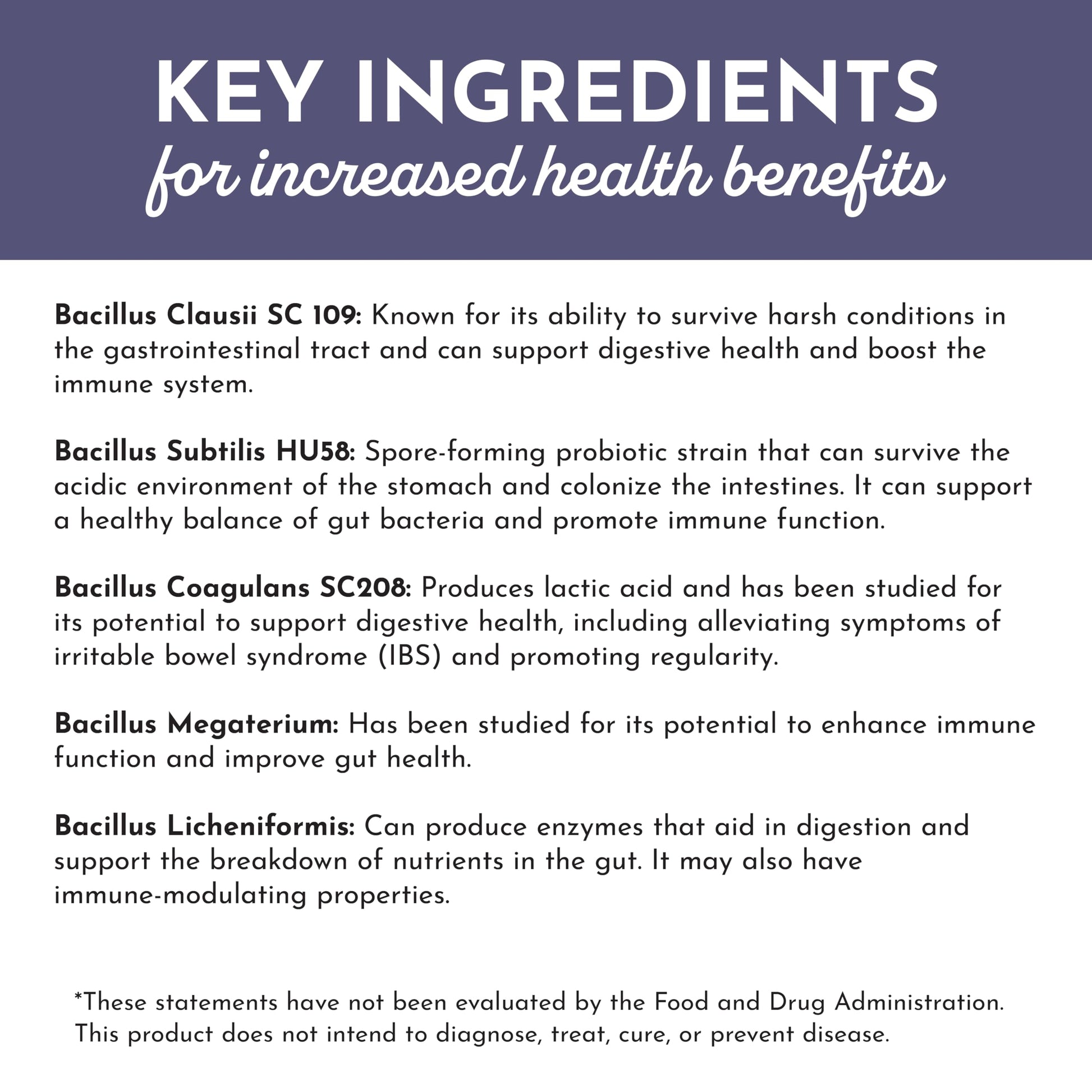 JUST INGREDIENTS Elderberry Lemonade 3-in-1 Probiotic Complex - Prebiotics, Probiotics & Postbiotics - 30 Sticks JUST INGREDIENTSAu supplements