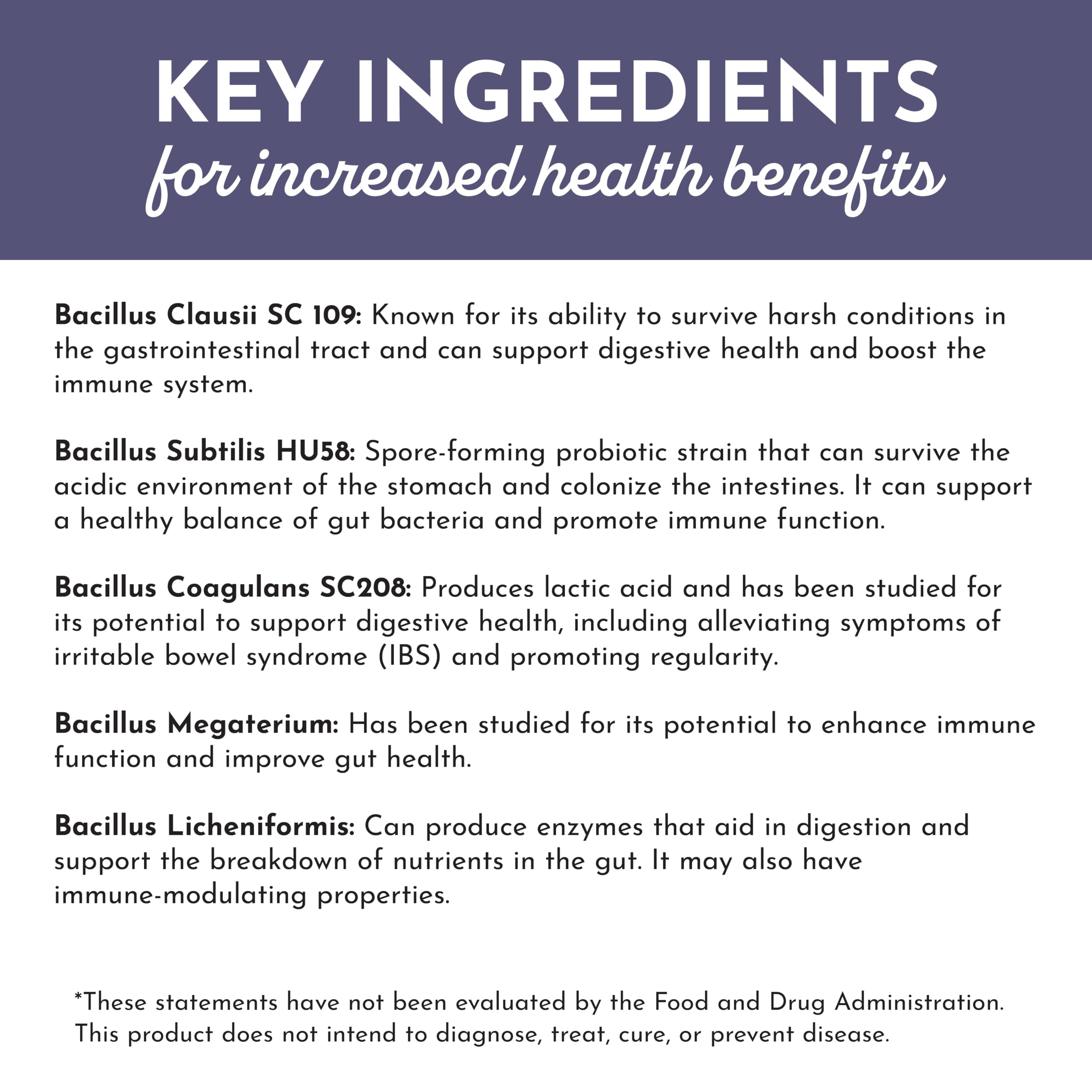 JUST INGREDIENTS Elderberry Lemonade 3-in-1 Probiotic Complex - Prebiotics, Probiotics & Postbiotics - 30 Sticks JUST INGREDIENTSAu supplements