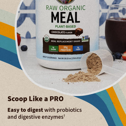 Garden of Life Vegan Protein Powder - Raw Organic Meal Replacement Shakes Garden of LifeUS supplements