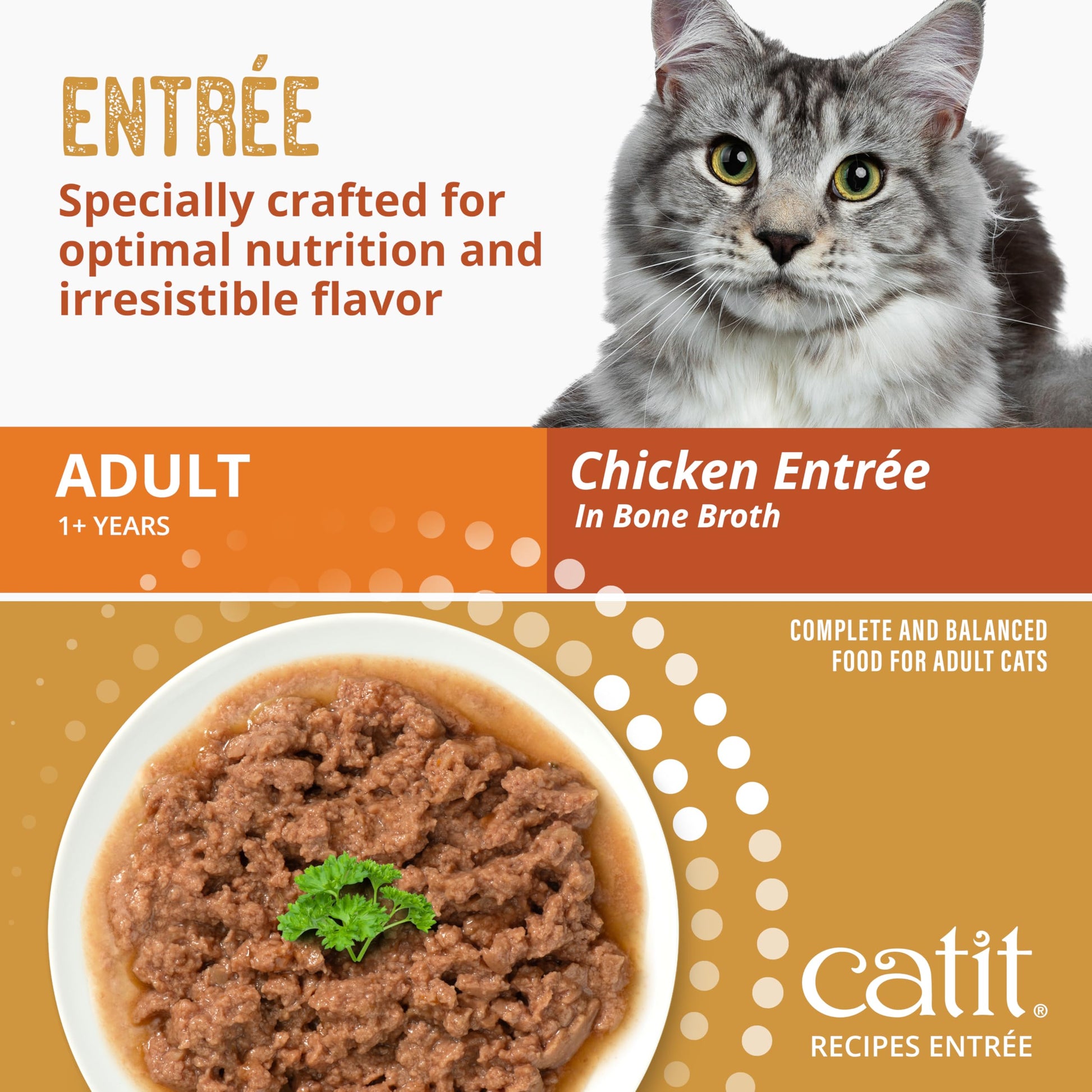 Catit Recipes Adult Chicken Entrée – High-Protein Wet Cat Food with Bone Broth Hydration, Prebiotics & Postbiotics for Gut Health, Omega-3 for Skin & Coat, and Taurine for Heart Support 3oz (12/cs) CatitAu supplements