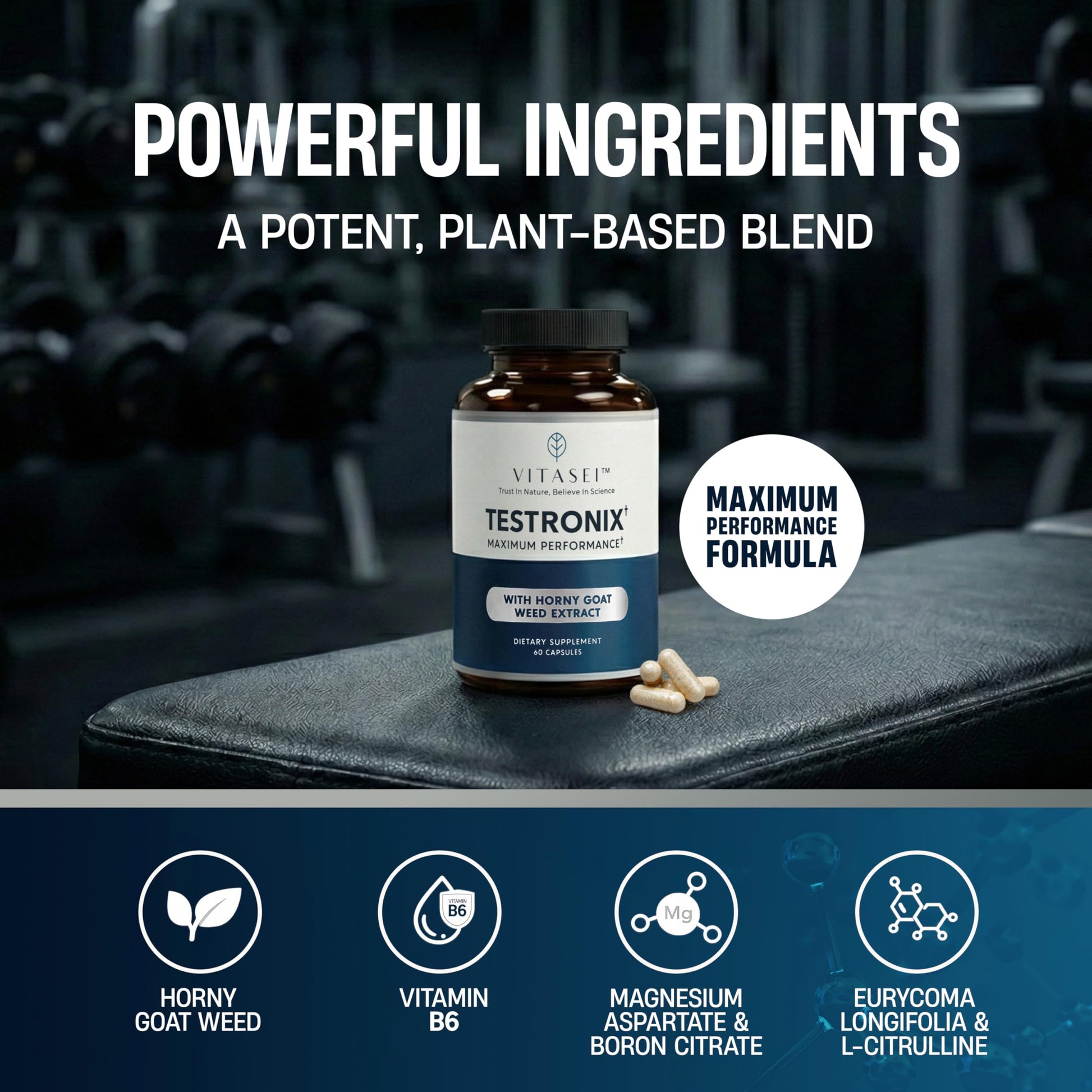 VITASEI Testronix Performance Supplement for Men - Energy and Muscle Supplements for Mens Health - 60 Capsules (Pack of 2) VITASEIAu supplements