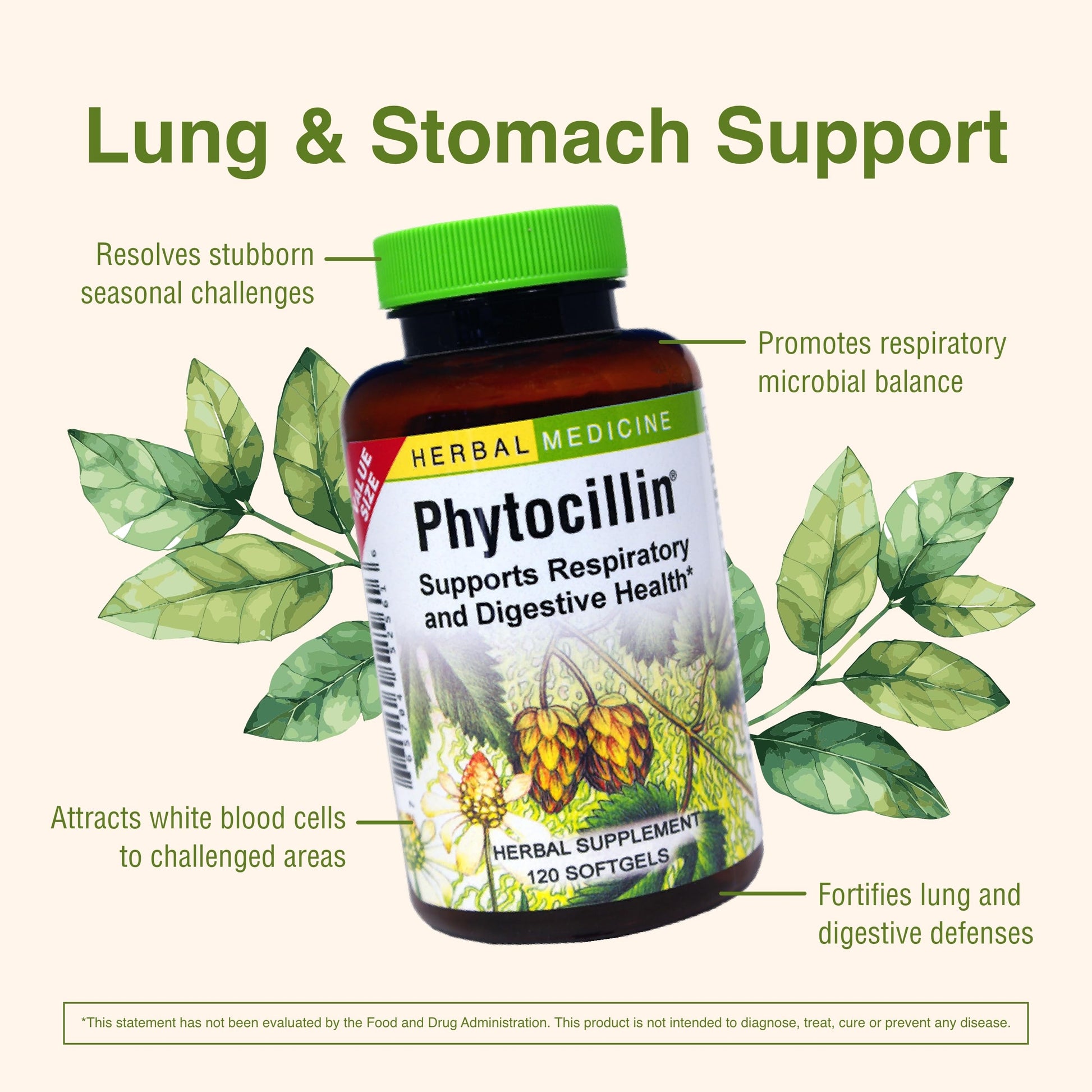 Herbs Etc. Phytocillin - Respiratory & Digestive Health Support Supplement - Herbal Formula to Support Digestion - Support Healthy Breathing - 120 Softgels (120 Servings) Herbs Etc.Au supplements