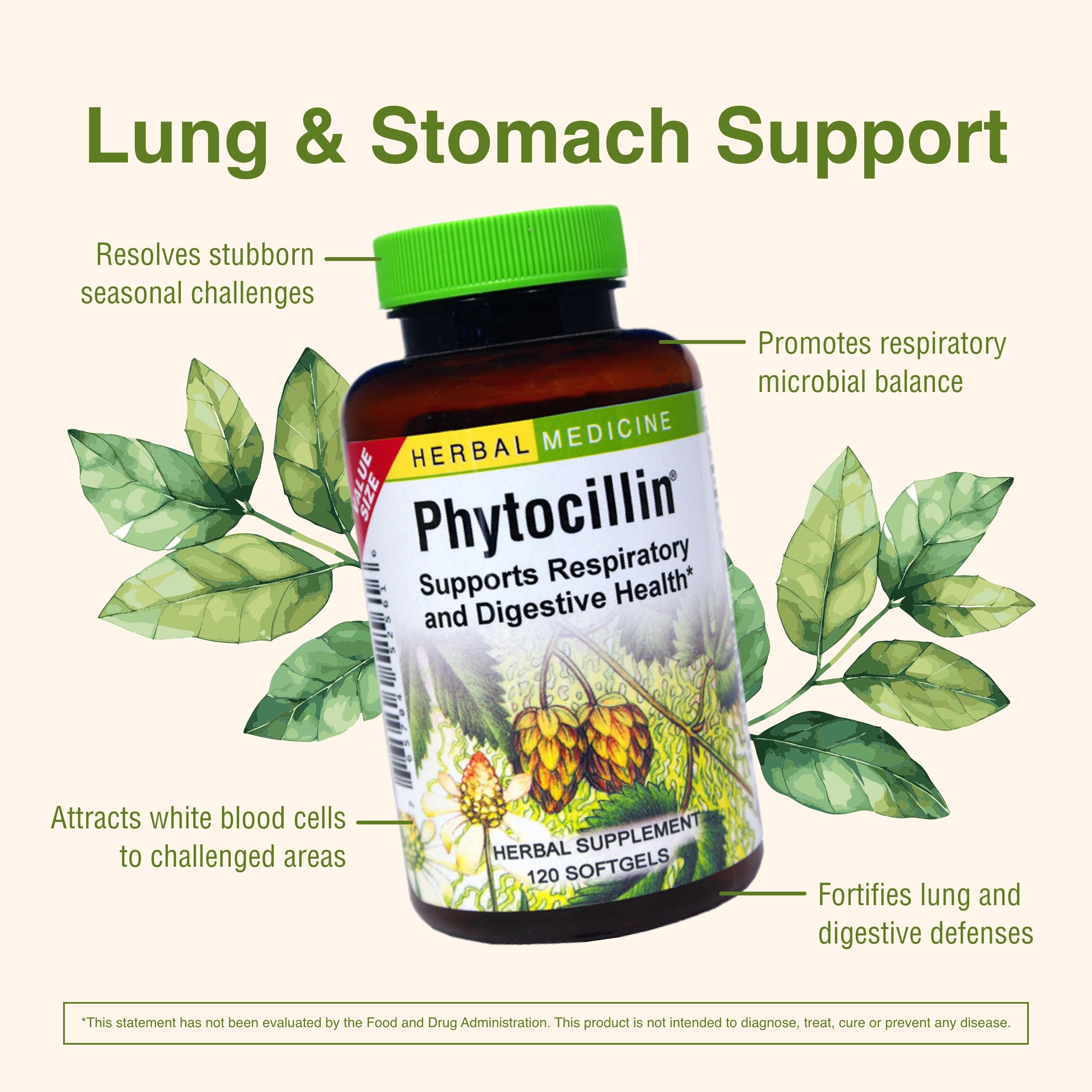 Herbs Etc. Phytocillin - Respiratory & Digestive Health Support Supplement - Herbal Formula to Support Digestion - Support Healthy Breathing - 120 Softgels (120 Servings) Herbs Etc.Au supplements