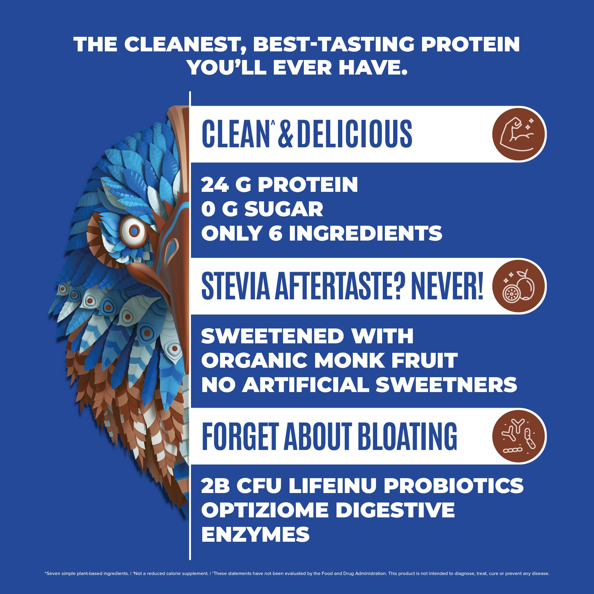 BIRDMAN Falcon Vegan Protein Powder Organic, Stevia & Sugar Free, Plant Based Protein BIRDMANUS supplements