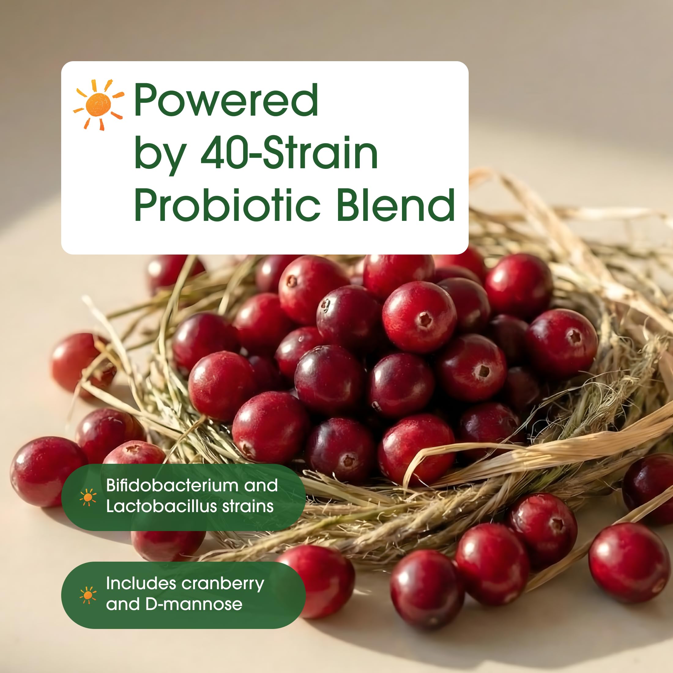NatureBell Women's Probiotics+ - 240 Vegetarian Capsules - Prebiotic, Probiotic, Postbiotic & Digestive Enzymes - Made with Cranberry, D-Mannose, Inositol & More NatureBellAu supplements