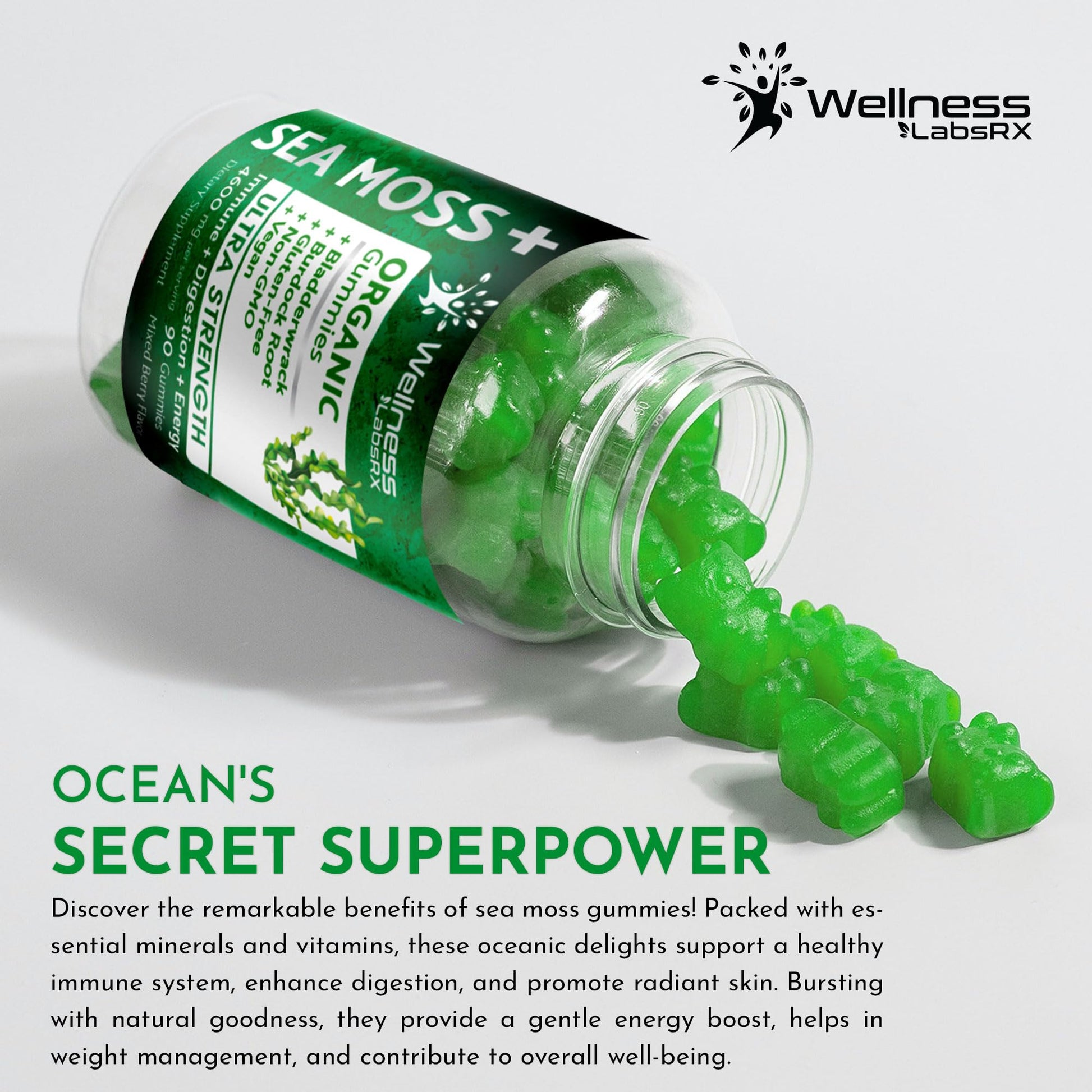 WELLNESS LABSRX Sea Moss Gummies, 3200mg Organic Seamoss, Irish Sea Moss WELLNESS LABSRXUS supplements