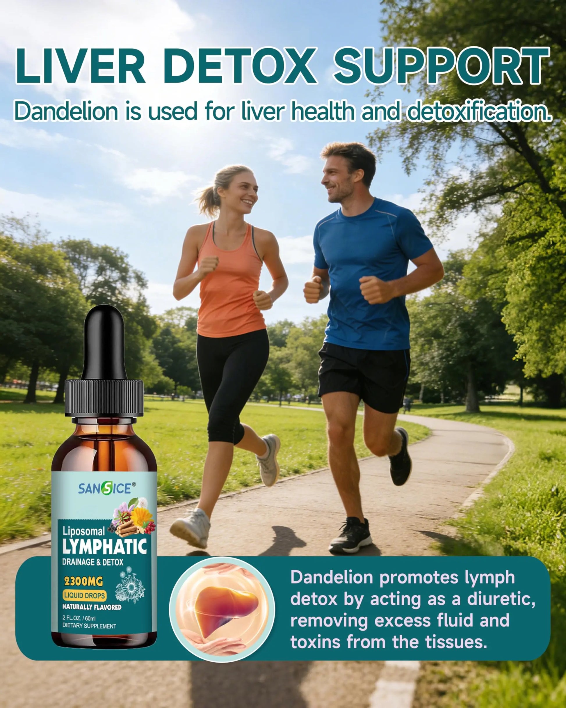SANSICE Organic Moringa Supplement, Liquid Moringa Leaf Extract for Women & Men, Lymphatic Drainage Supplement with Echinacea for Lymph System Support SANSICEnz supplements