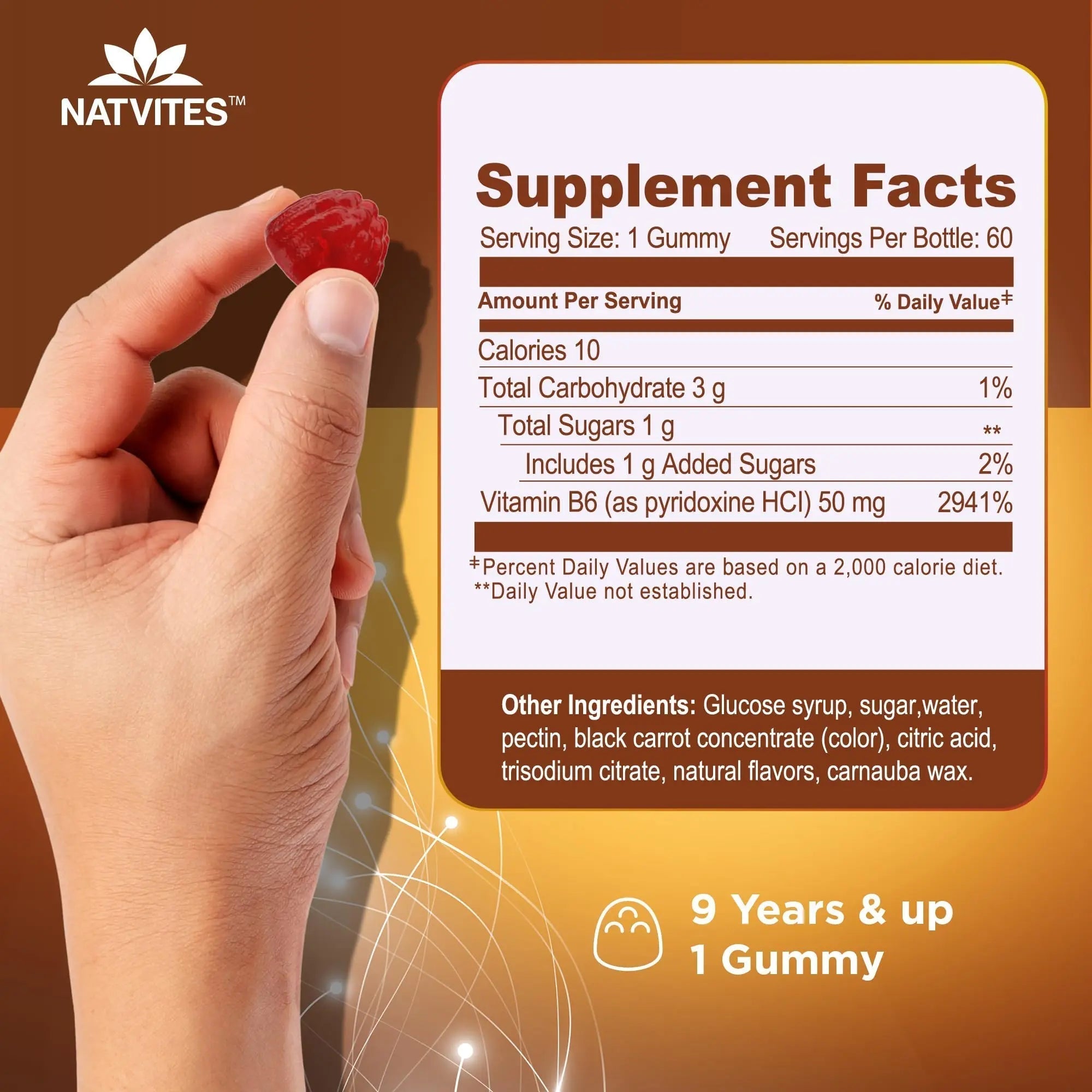 Natvites High-Potency Vitamin B6 Gummies for Kids - Delicious Berry Flavored VIT B6 Vitamins 50mg - Supports Nerve Function - Vegetarian Gluten Free Non-GMO Children's 50 mg B 6 Supplement (60 Count) NatvitesAu supplements