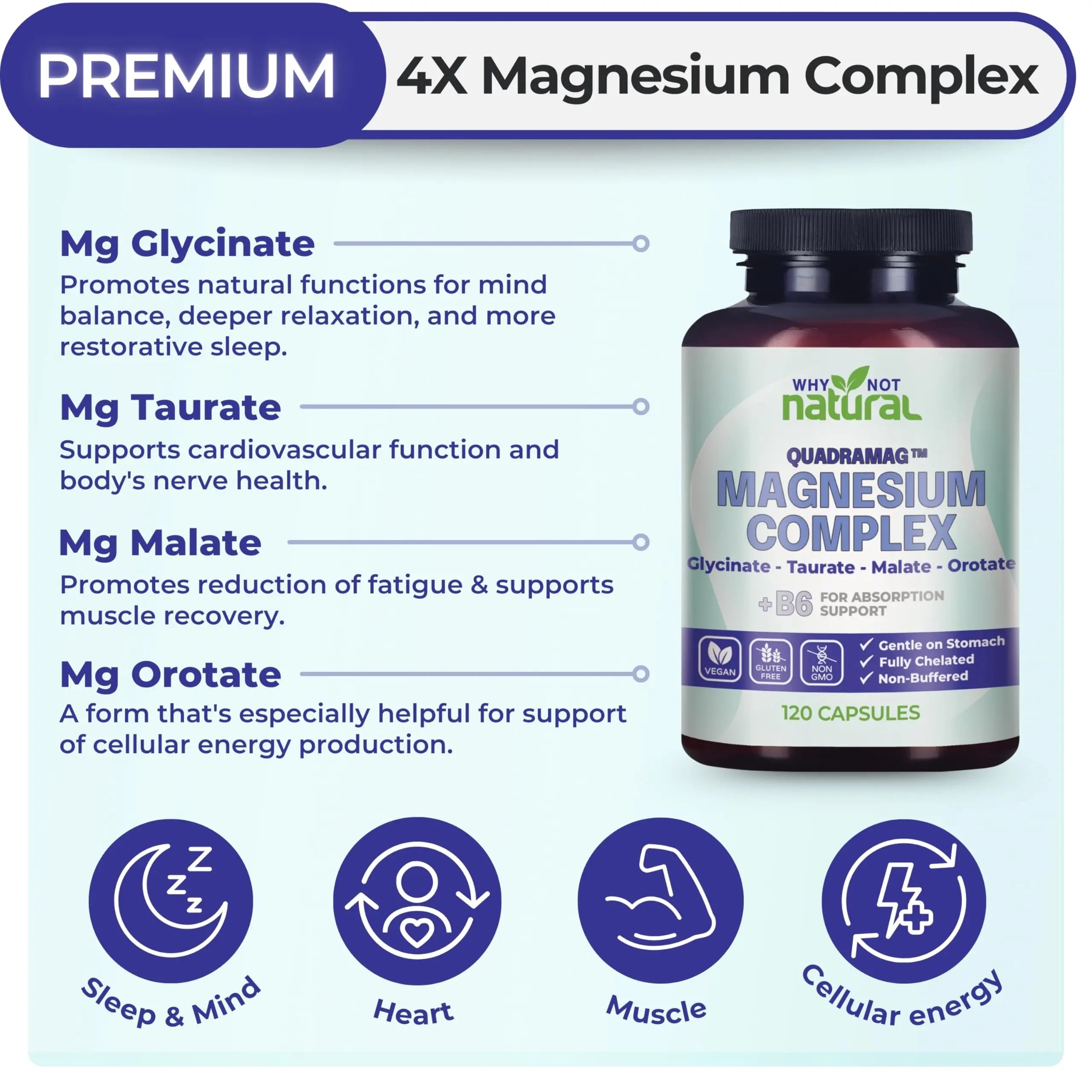4-in-1 Magnesium Complex Supplement - Glycinate, Taurate, Malate, Orotate Blend - 300 mg per Serving, 120 Capsules Why Not Naturalnz supplements
