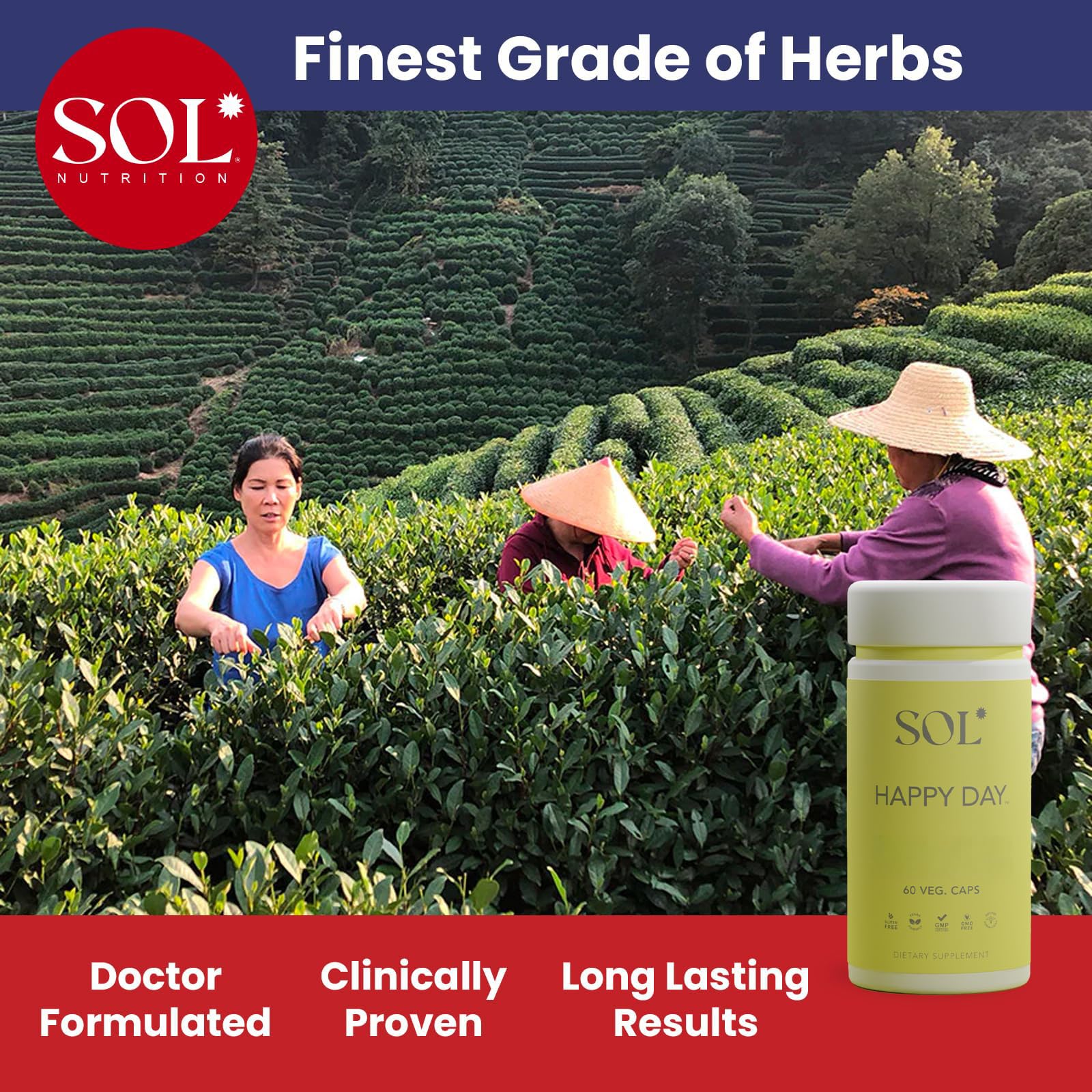 Sol Nutrition Happy Day Supplement: Combining The Natural Herbal Properties of Collective Happiness Bark, Astragalus, and Gingko Biloba to Support a Healthy Lifestyle - 60 Easy to Swallow Capsules Sol NutritionAu supplements