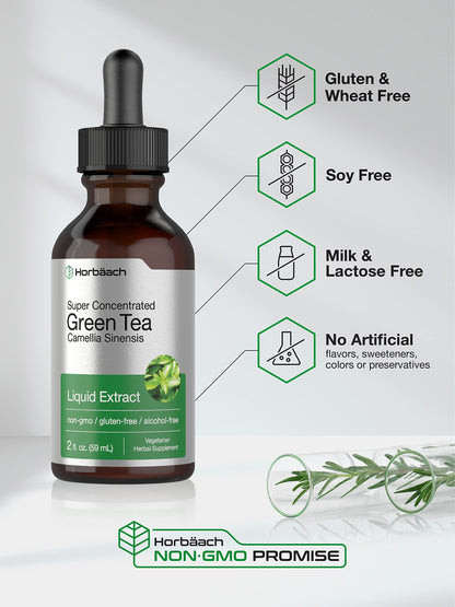 Green Tea Extract Liquid | 2 Fl Oz | Alcohol Free, Vegetarian Tincture | Super Concentrated HorbäachUS supplements