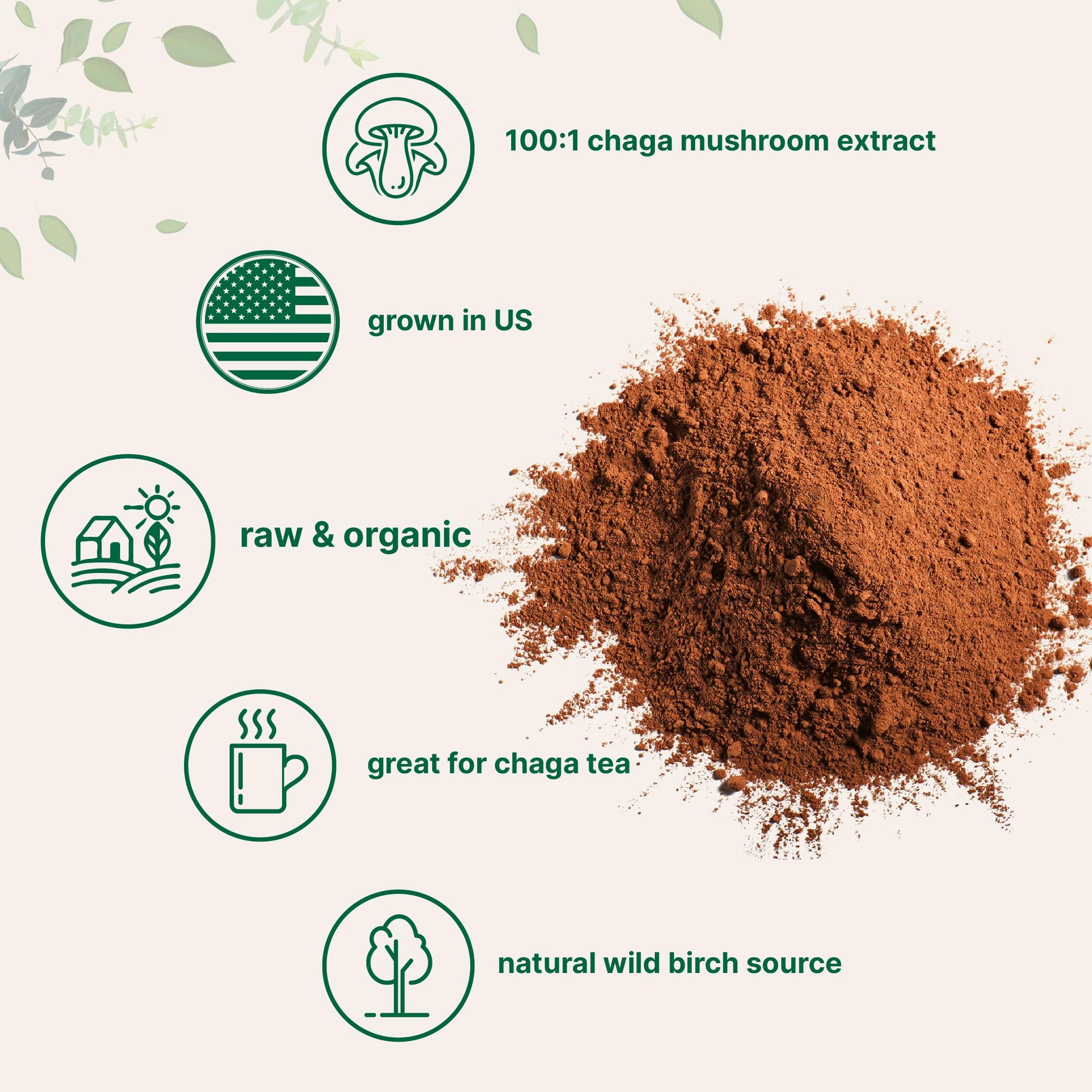Micro Ingredients Organic Chaga Mushroom Extract 100:1 Powder, 10 Ounce Micro IngredientsUS supplements