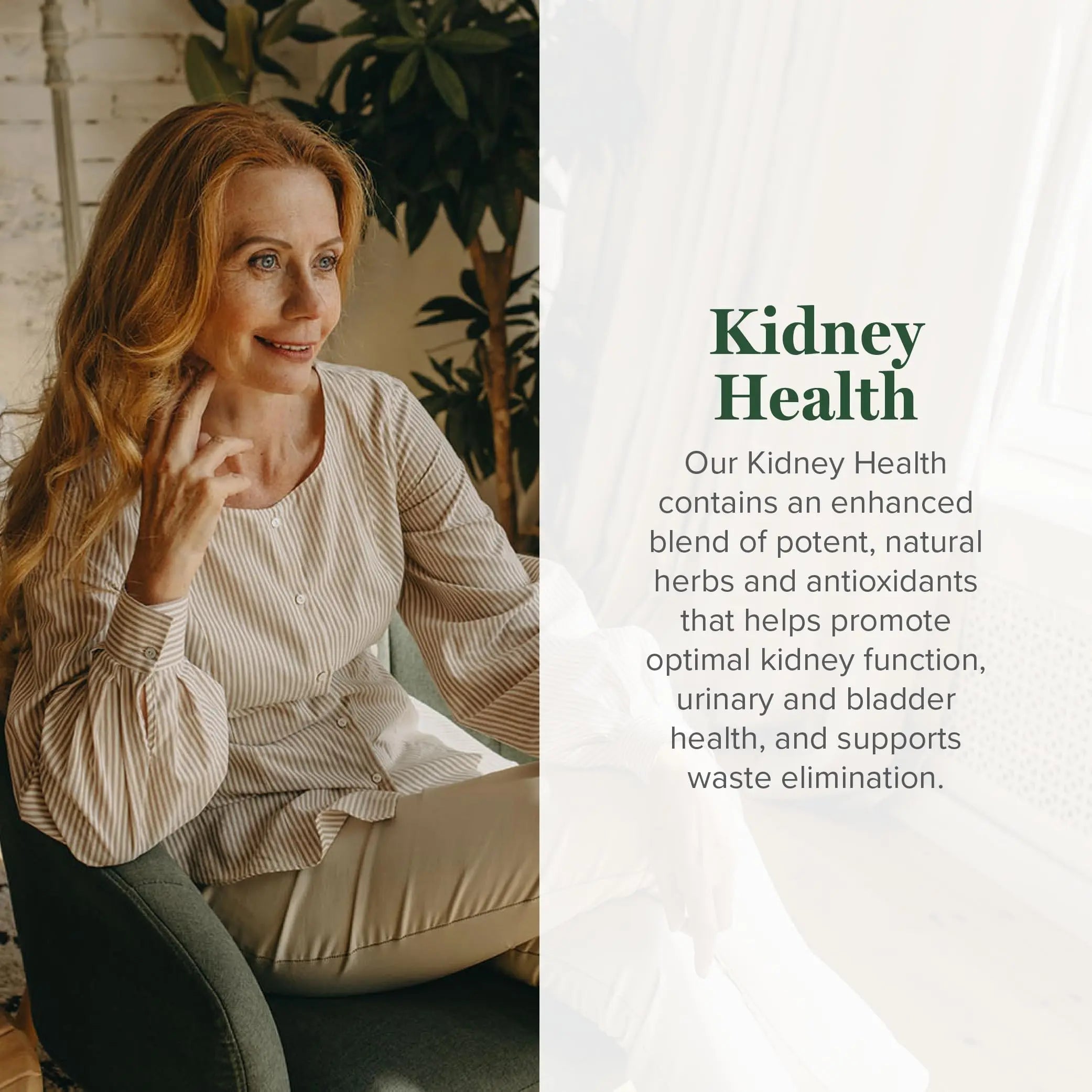 Global Healing USDA Organic Kidney Health with Cranberry & Hydrangea - Kidney Cleanse Liquid Supplement & Stones Dissolver for Urinary Health - Detox & Repair Formula for Bladder Control - 2 Fl Oz Global Healing CenterAu supplements
