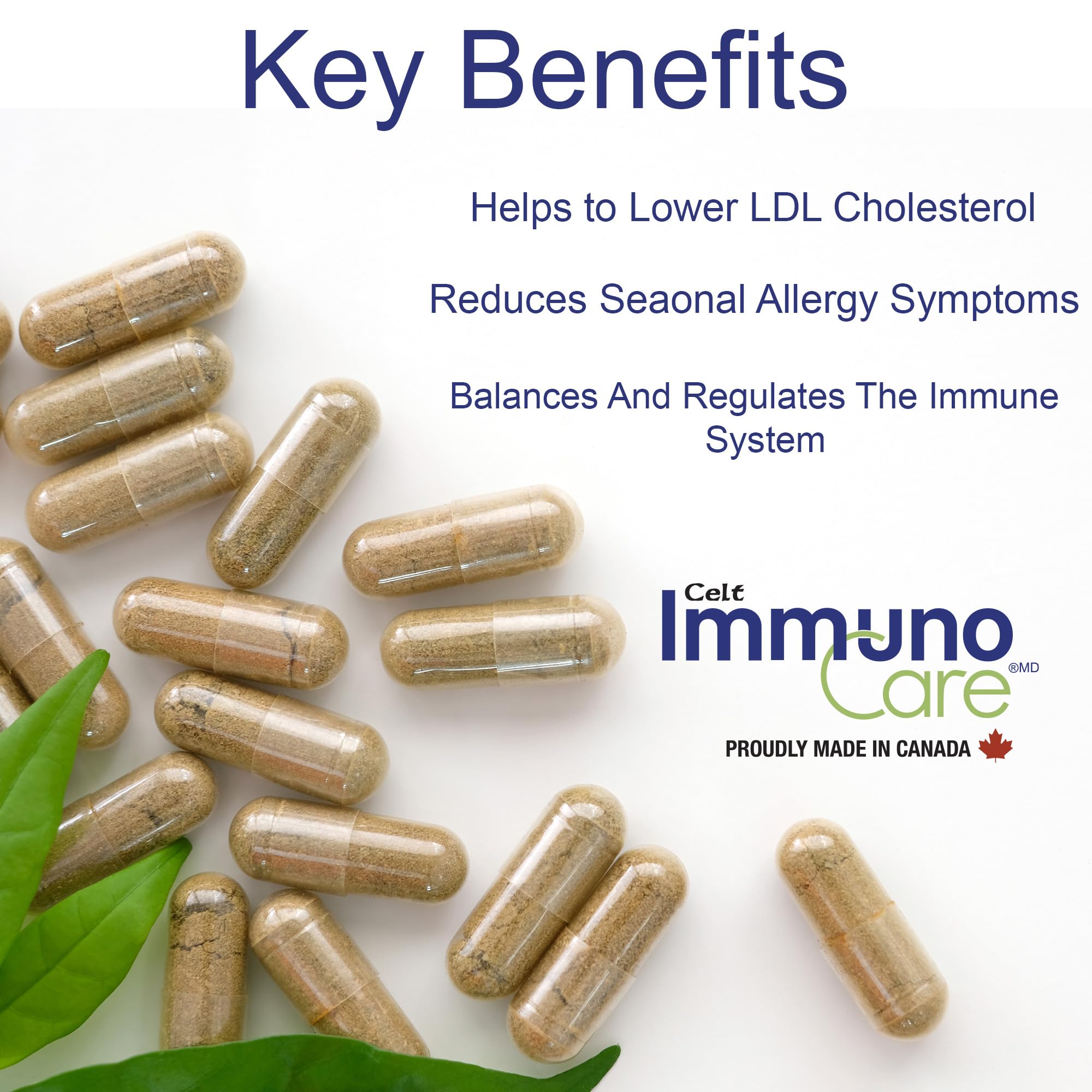 Celt Immunocare 60 v-caps - Potent Seasonal Allergy Blend - Adult Immunity Support - Cholesterol Modulator - Plant Sterols Ultra Strength - 7 Key Immunity Enhancing Ingredients Celt Immuno-CareAu supplements