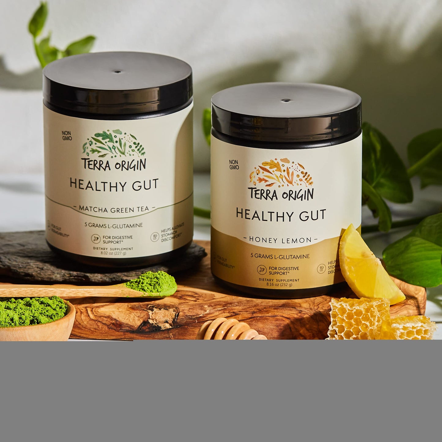 TERRA ORIGIN Healthy Gut Powder (Honey Lemon) | 30-Servings with L-Glutamine TERRA ORIGINUS supplements