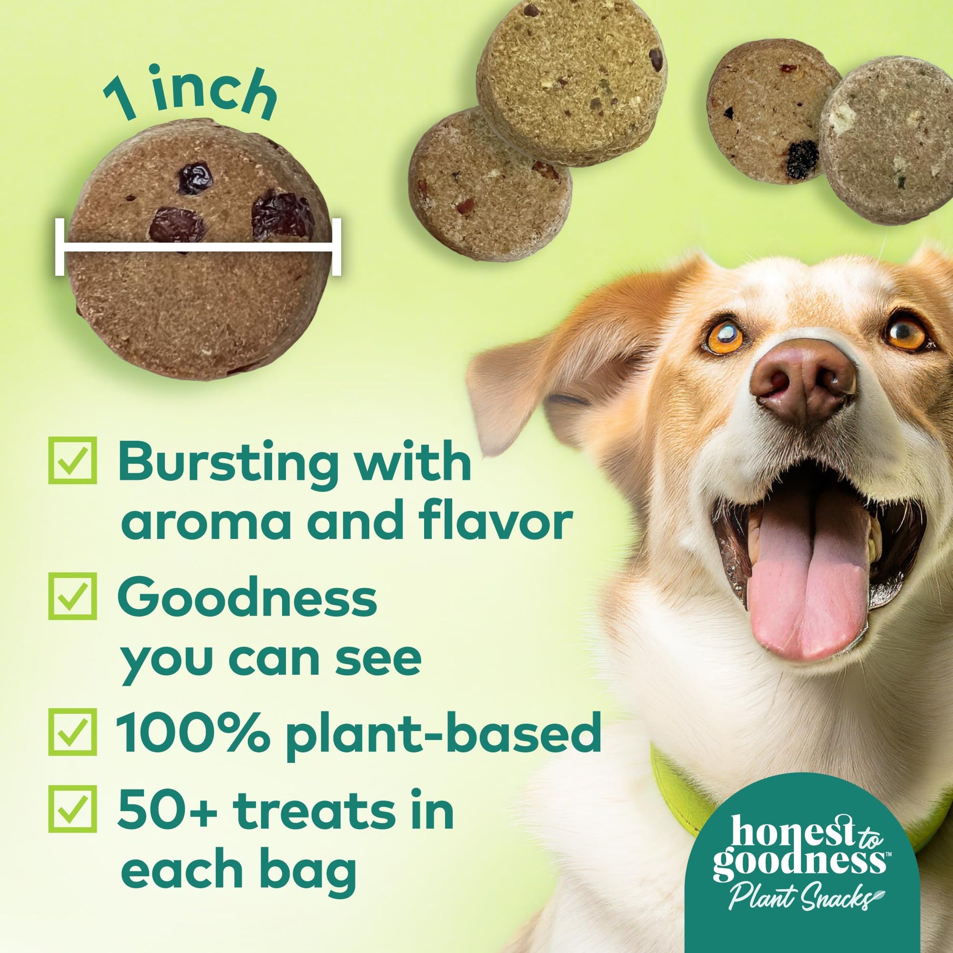 Honest to Goodness Plant Snacks Dog Treats, Enriched with Omega 3s & Postbiotics, 8oz Variety Pack, 6 Bags Honest to GoodnessAu supplements