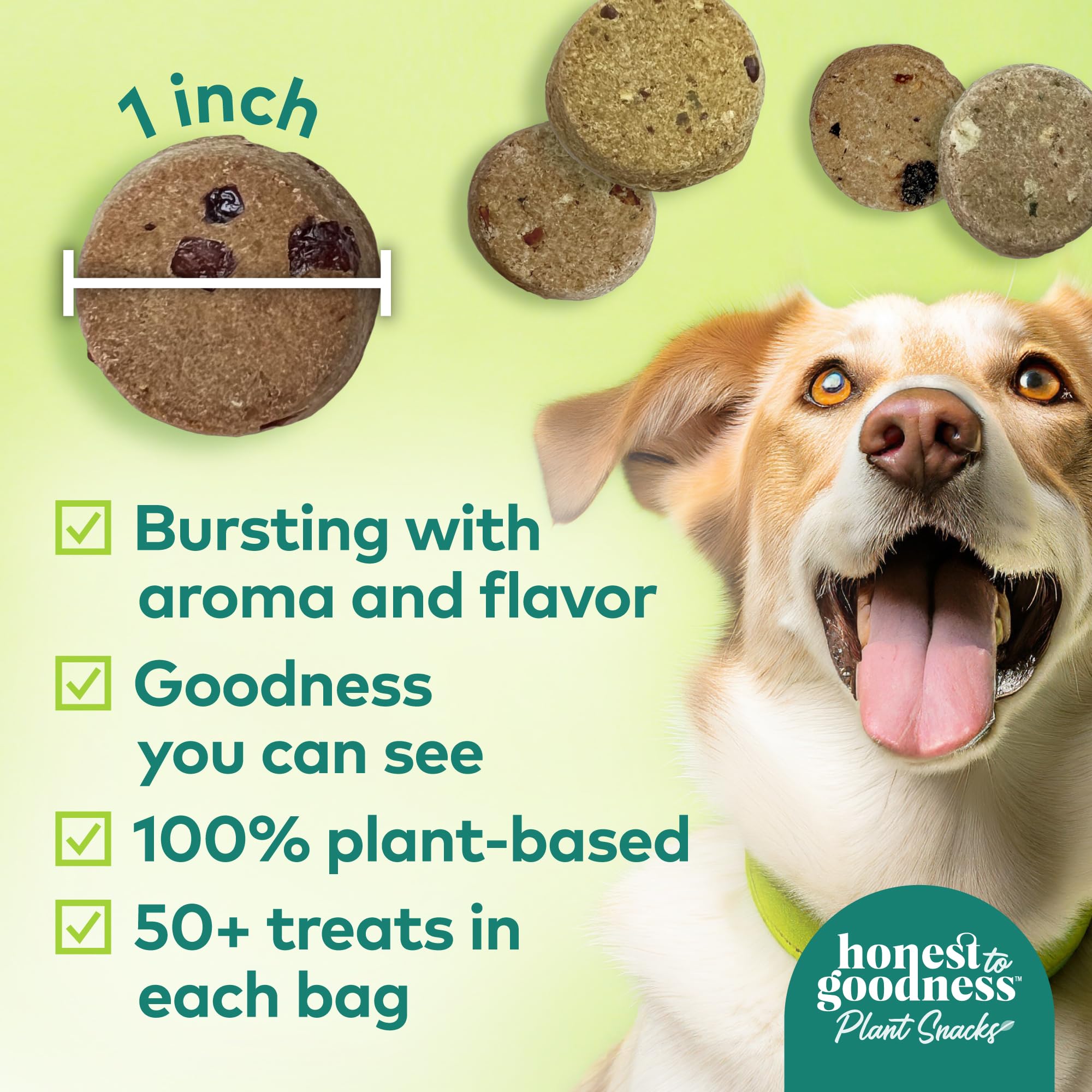 Honest to Goodness Plant Snacks Dog Treats, Enriched with Omega 3s & Postbiotics, 8oz Variety Pack, 6 Bags Honest to GoodnessAu supplements