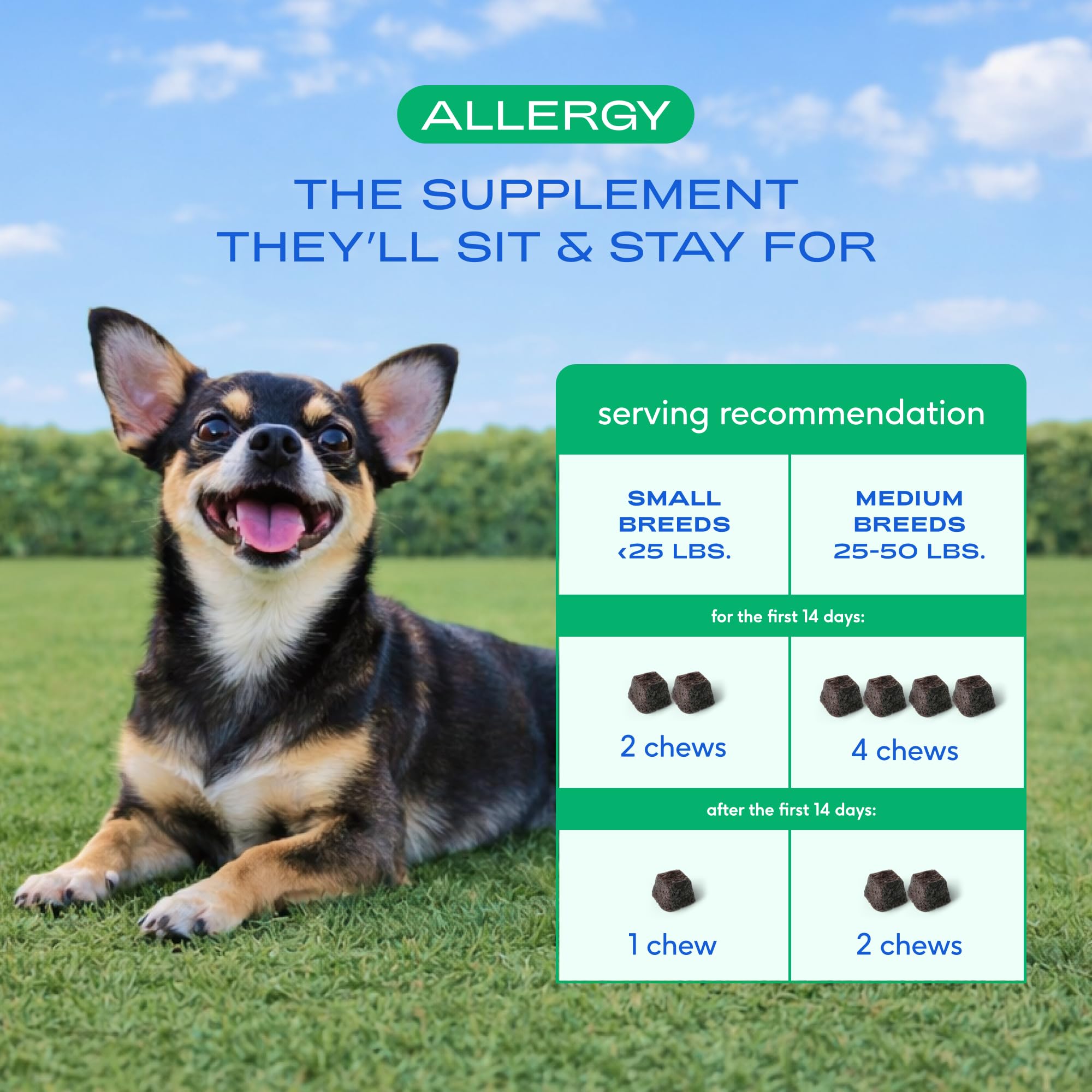 Native Pet Dog Allergy Chews - Dog Allergy Relief for Medium Breeds - Supports Seasonal Itch Relief, Healthy Immune Function & Reduces Sneezing - Colostrum, Spirulina, & Probiotics - 30 Days Supply Native PetAu supplements