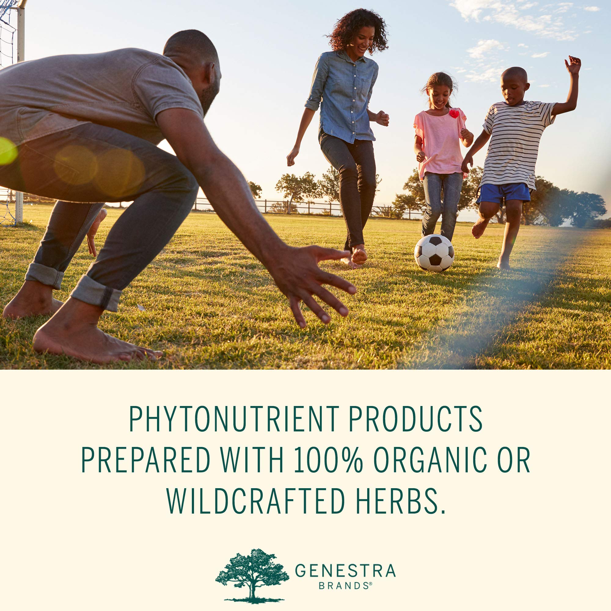 Genestra Brands Phyto Greens Capsules | Vitamins, Dietary Fiber and Enzymes for Optimum Nutrition | 180 Capsules Genestra BrandsAu supplements