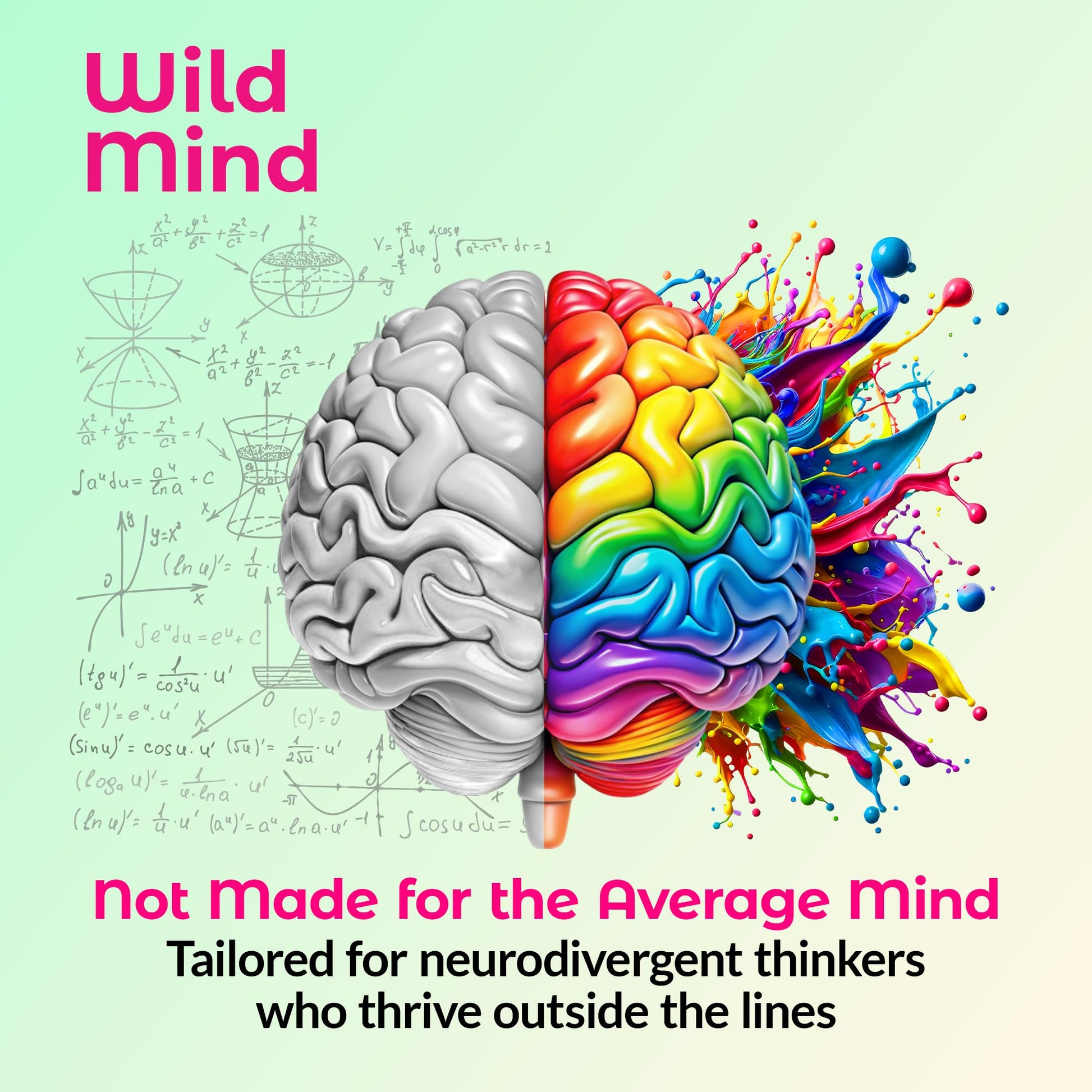 Wild Mind Mental Clarity Balanced Focus & Mood Support Supplement for Mental Wellness– 4-Ingredient Nootropic Brain Support for Calm & Energy – Vegan, 90 Capsules, 30-Day Supply Wild MindAu supplements