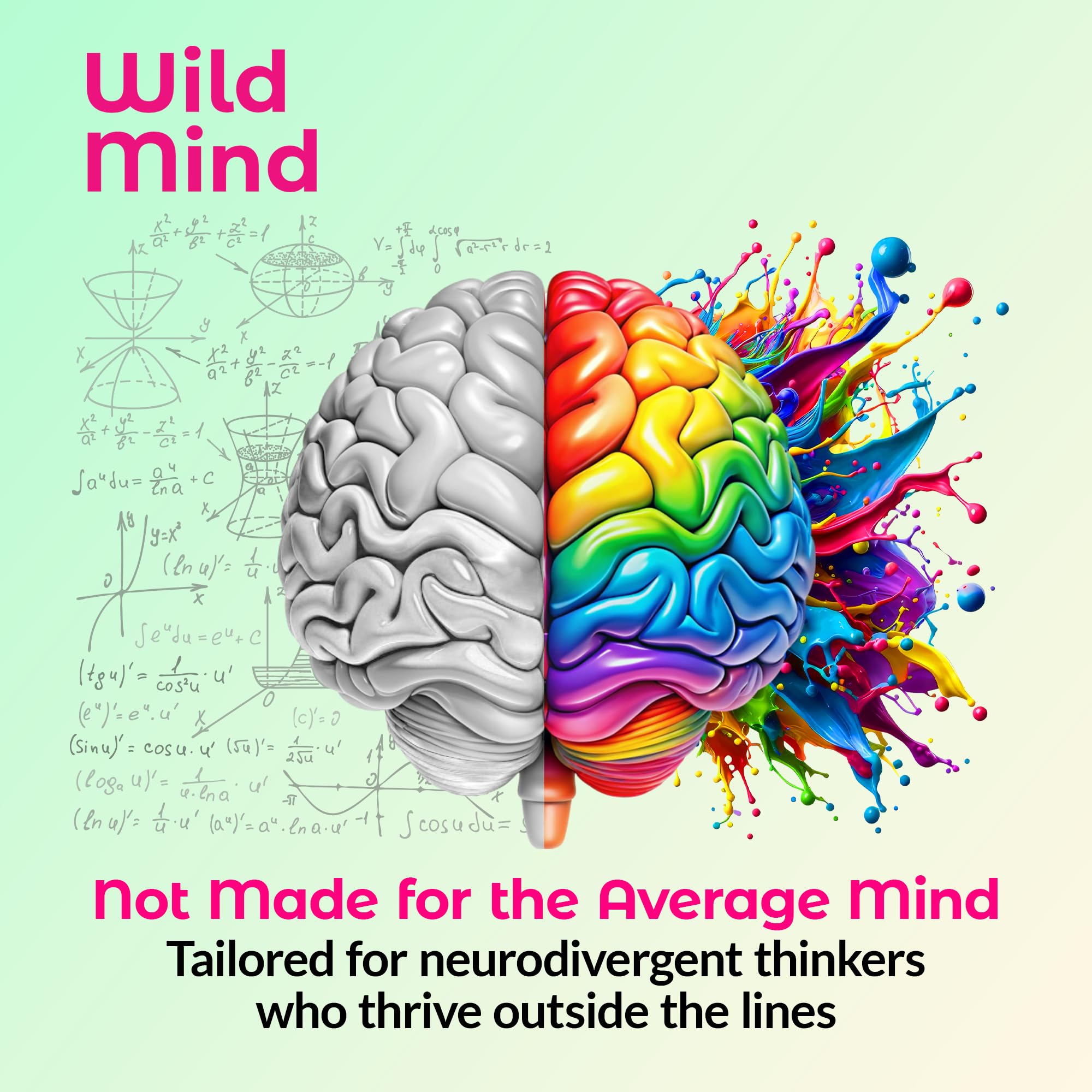 Wild Mind Mental Clarity Balanced Focus & Mood Support Supplement for Mental Wellness– 4-Ingredient Nootropic Brain Support for Calm & Energy – Vegan, 90 Capsules, 30-Day Supply Wild MindAu supplements