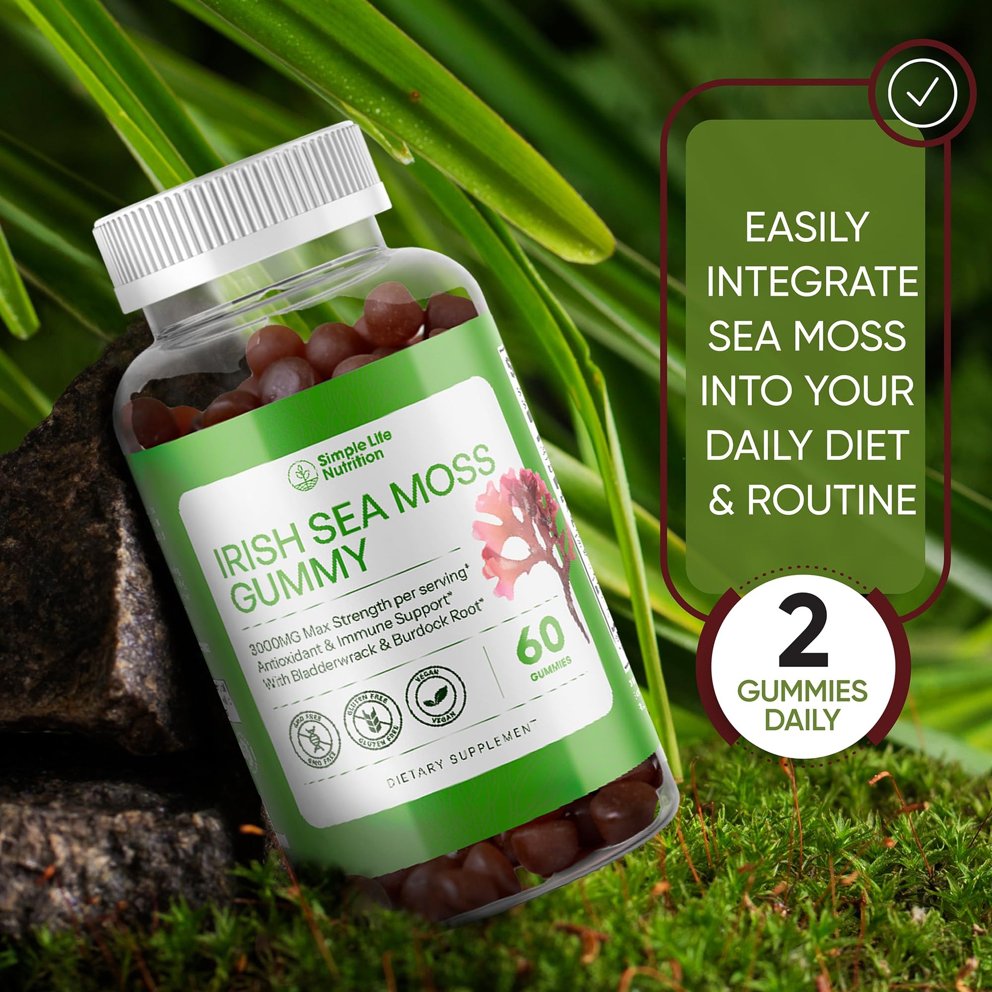 Simple Life Nutrition Organic Irish Sea Moss Gummies - Burdock Root and Bladderwrack Natural Blend - Immune System Gut Cleanse & Thyroid Supplement - Skin and Nail Health - 60CT Simple Life NutritionAu supplements