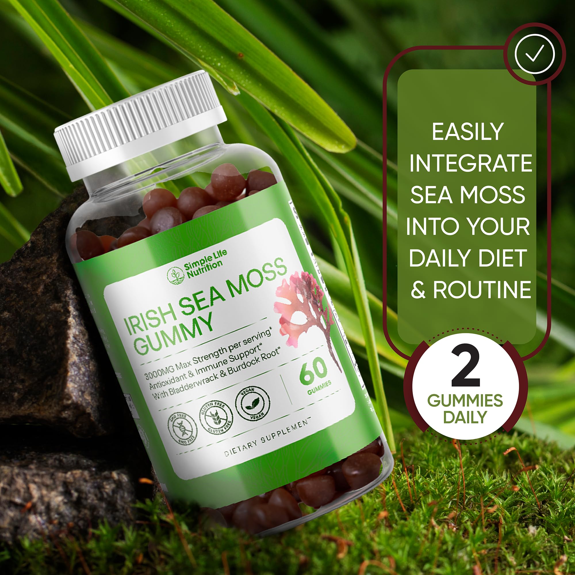 Simple Life Nutrition Organic Irish Sea Moss Gummies - Burdock Root and Bladderwrack Natural Blend - Immune System Gut Cleanse & Thyroid Supplement - Skin and Nail Health - 60CT Simple Life NutritionAu supplements