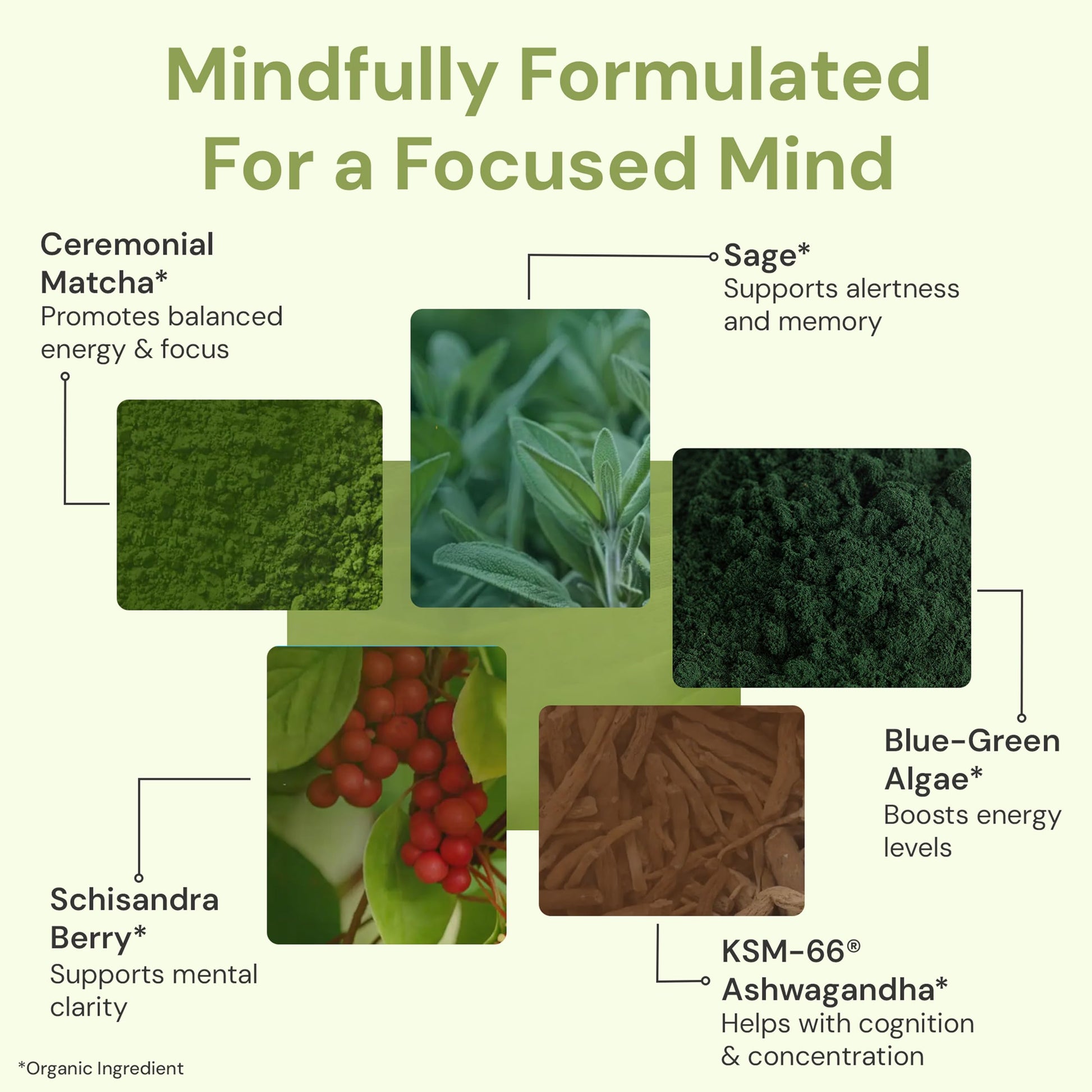 ION* Intelligence of Nature Focused Mind Nootropic Powder Drink Mix - Brain Boost Nootropic Drink with Matcha for Memory, Focus & Relaxation, Brain Supplement for Men & Women, Adults - 20 Packets ION* Intelligence of NatureAu supplements