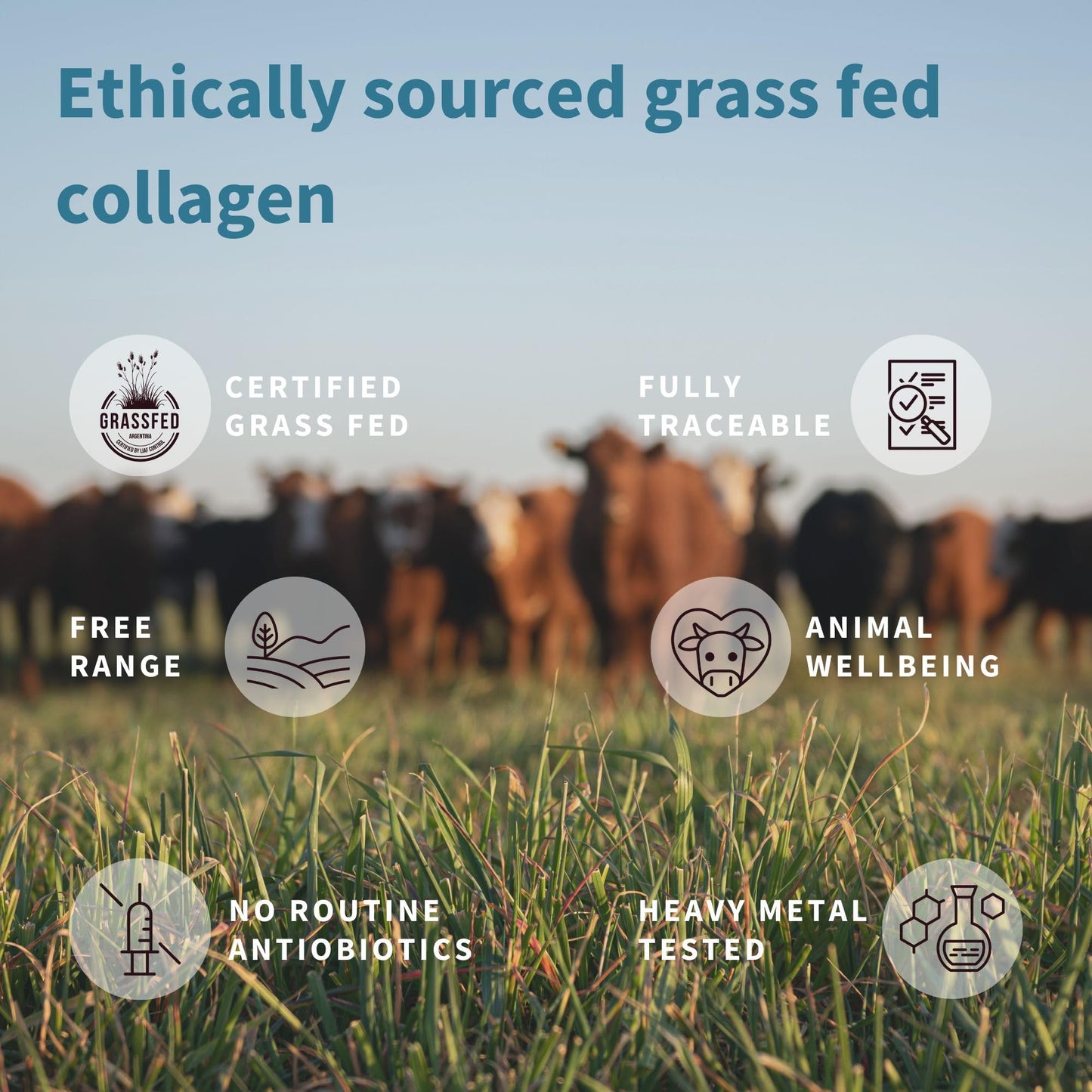 Advanced Hydrolysed Collagen Peptides, 100% Grass Fed & Ethically Sourced Igennus Healthcare NutritionUS supplements
