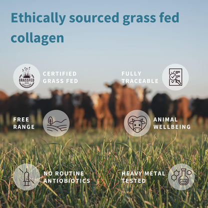 Advanced Hydrolysed Collagen Peptides, 100% Grass Fed & Ethically Sourced Igennus Healthcare NutritionUS supplements