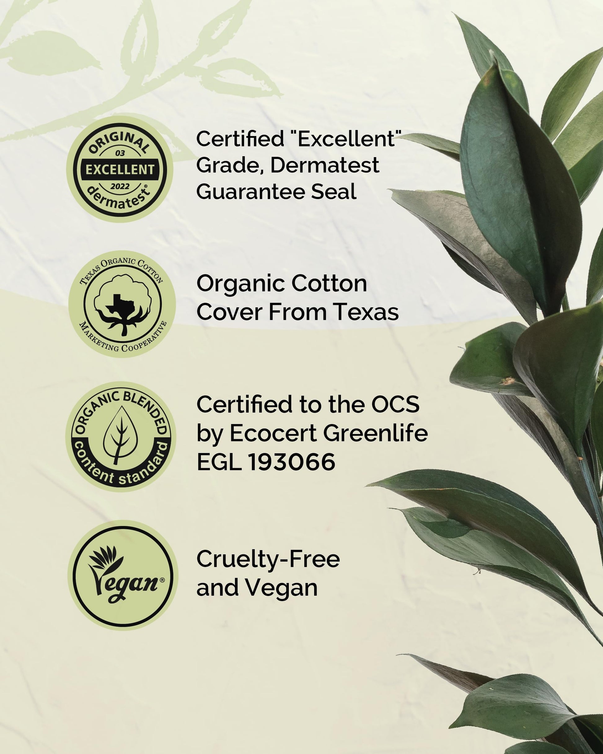 LABON Premium Vegan Organic Sanitary Pads (Regular, 25cm, 32 Counts) - 100% Organic Cotton Cover OCBONAu supplements