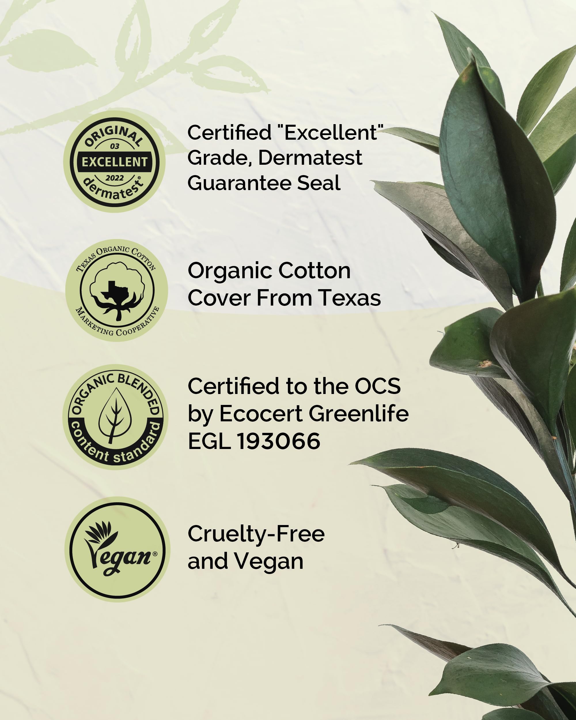 LABON Premium Vegan Organic Sanitary Pads (Regular, 25cm, 32 Counts) - 100% Organic Cotton Cover OCBONAu supplements