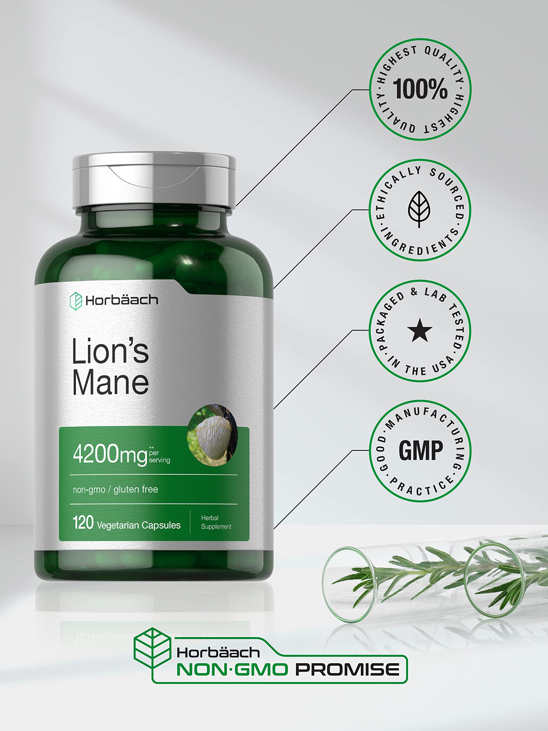 Horbäach Lions Mane Mushroom Extract | 4200mg | 120 Capsules | Vegetarian HorbäachUS supplements