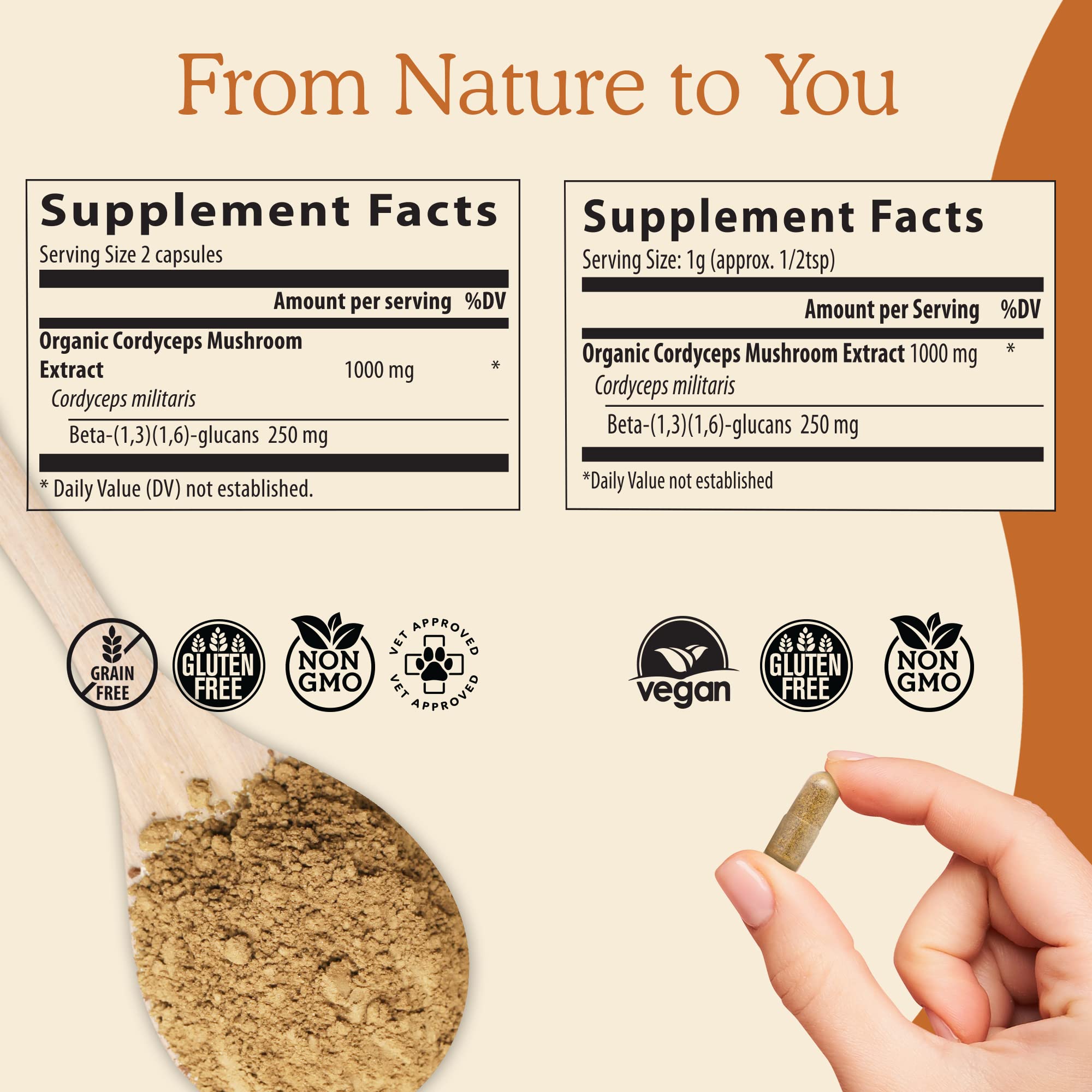 Real Mushrooms Cordyceps Capsules - Performance Mushroom Extract Supplement Real MushroomsAu supplements