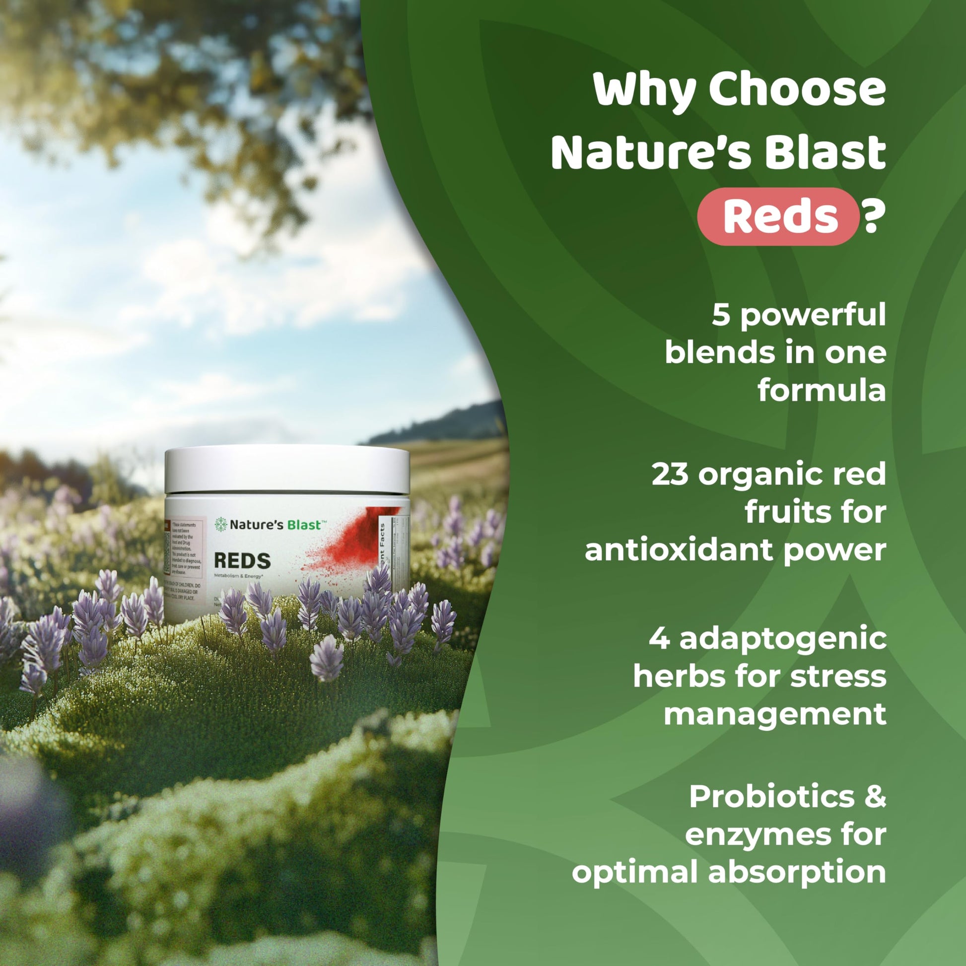 NATURES BLAST Reds - Metabolism and Energy Superfood Powder with 23 Red Fruits, 4 Adaptogens, Probiotics & Enzymes - Vegan Antioxidant Blend, 1 Bottle NATURES BLASTAu supplements