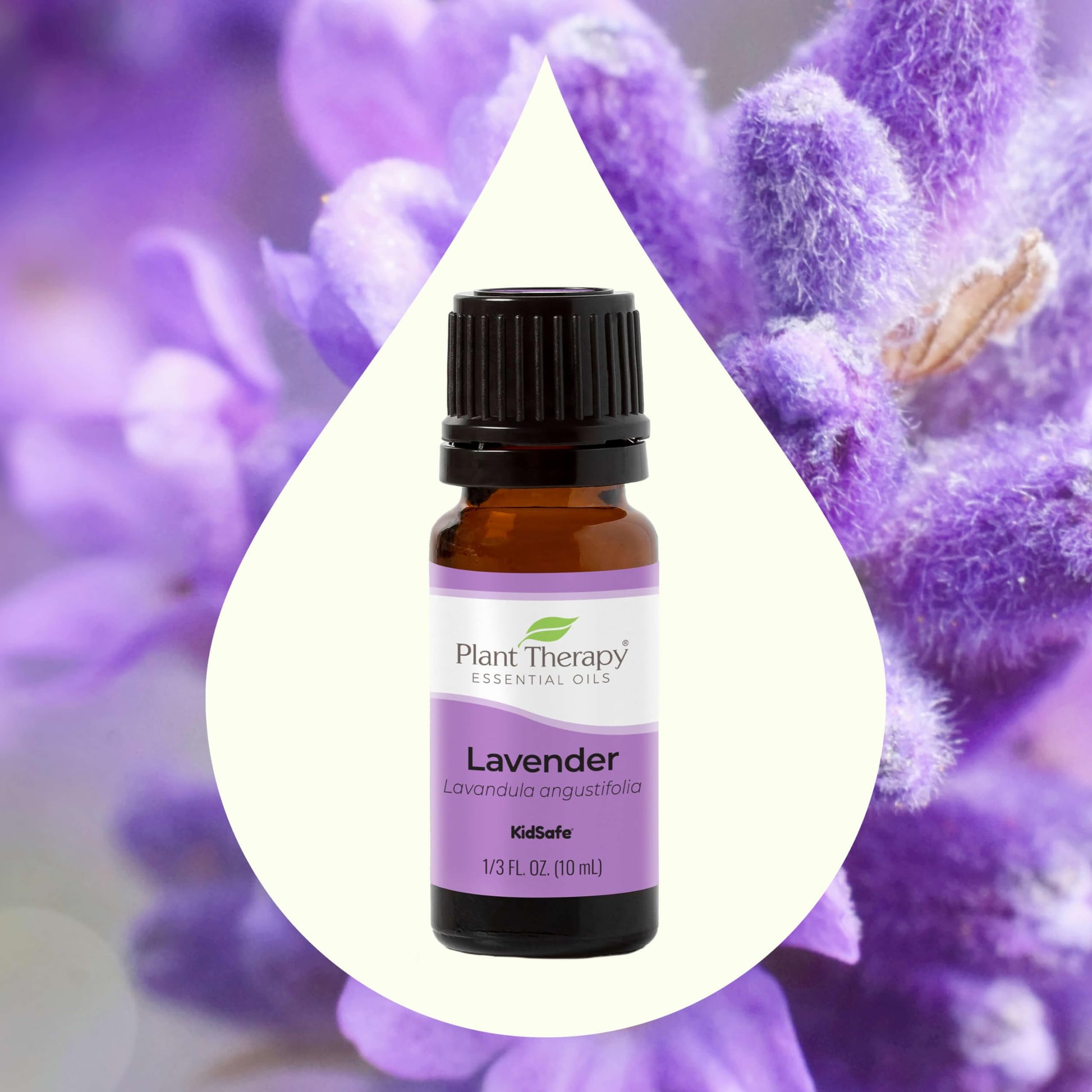Plant Therapy Lavender Essential Oil 100% Pure, Undiluted, Therapeutic Grade, Aromatherapy Diffuser Plant TherapyAu supplements