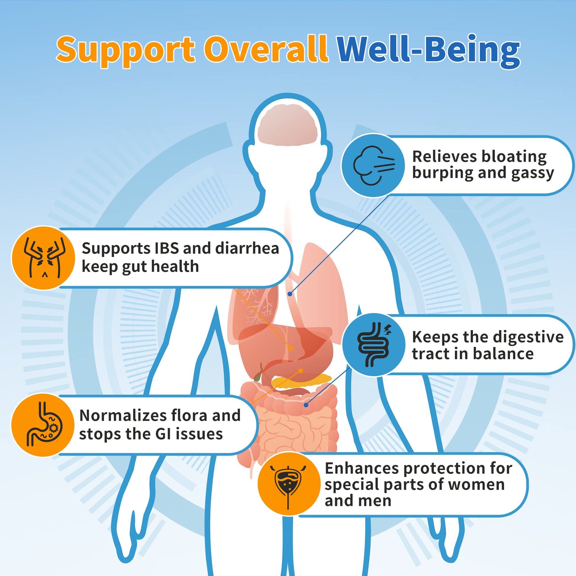 ZEBORA Probiotics for Women, Men and Kids, Prebiotics and Probiotics Powder ZEBORAAu supplements