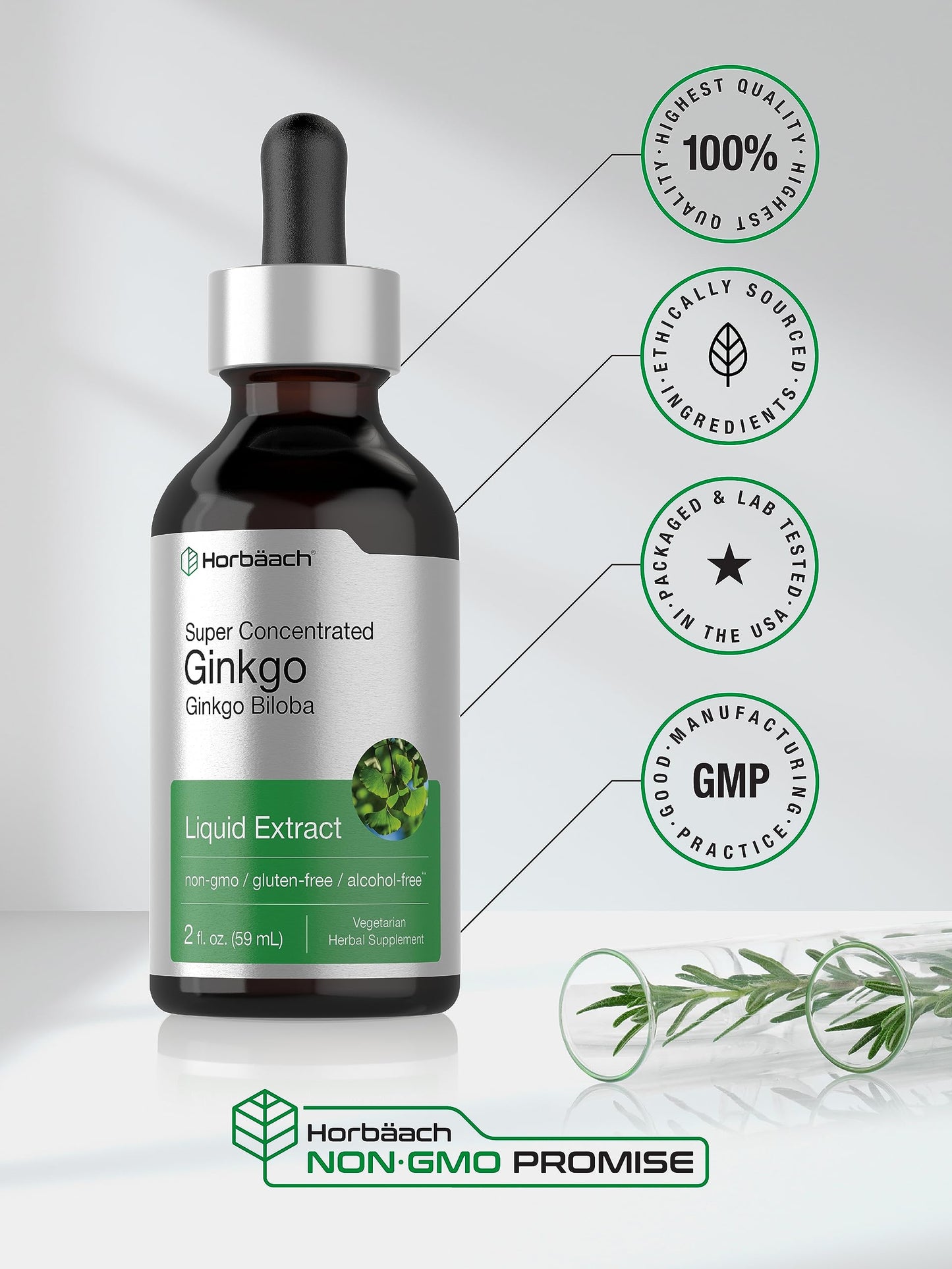 Ginkgo Biloba Extract Liquid 2 fl oz | Alcohol-Free Herb Supplement | Vegetarian HorbäachUS supplements