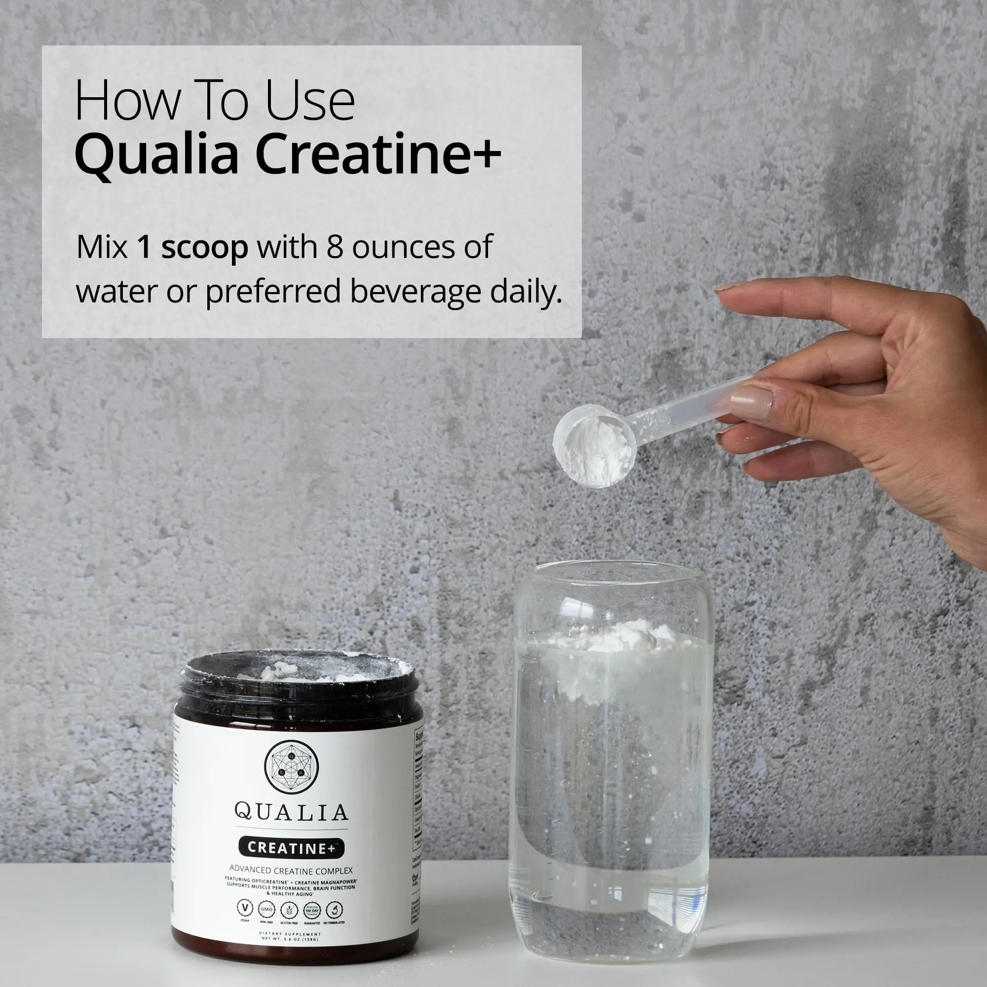 Qualia Creatine | Advanced Creatine Complex | 2 Sources + Magnesium | Optimized Absorption | Muscle Performance, Brain Function, & Healthy Aging (30 Servings) QUALIA LIFE SCIENCESnz supplements
