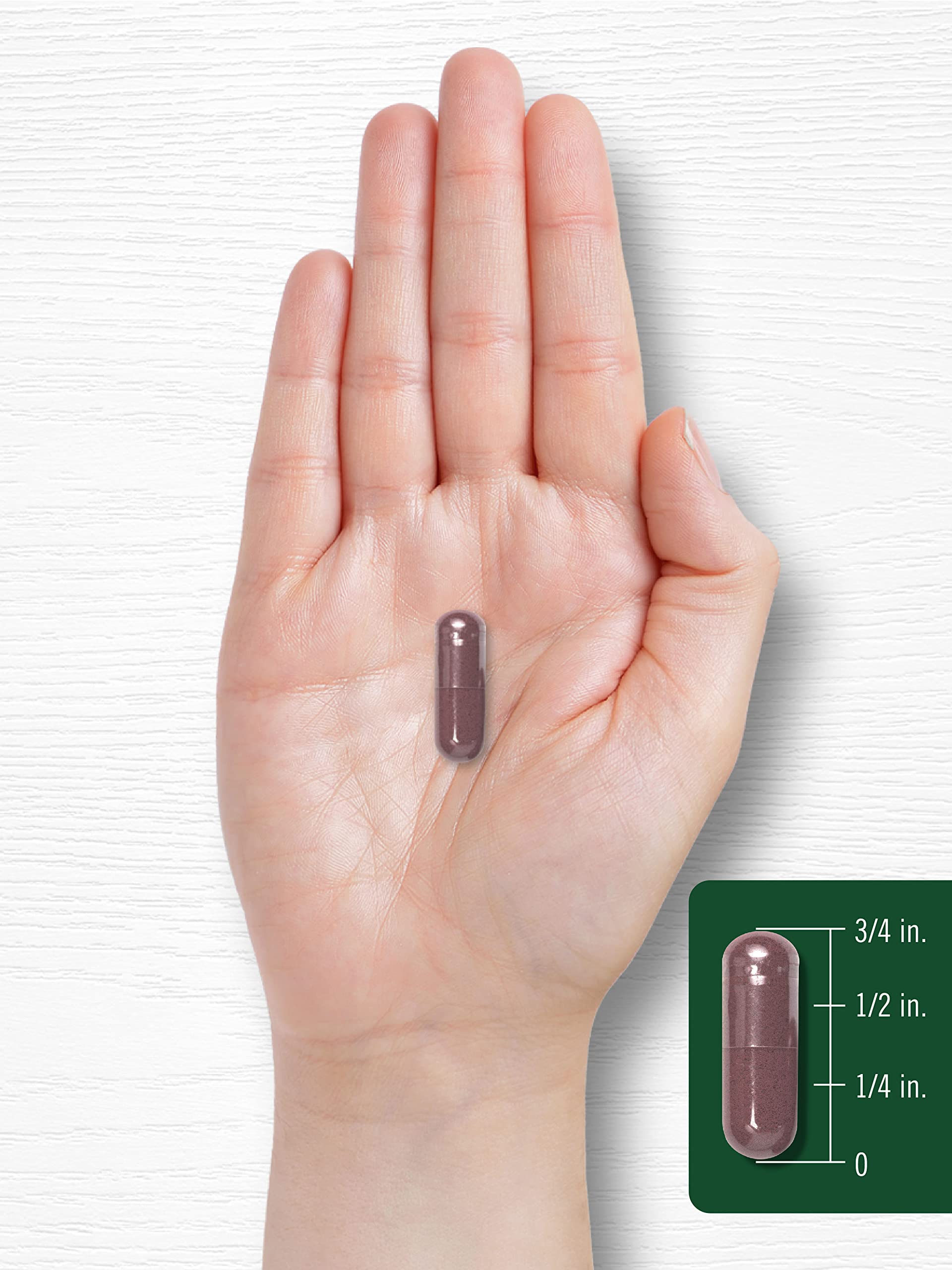 Carlyle Grape Seed Extract 4,000mg | 120 Quick Release Capsules | Standardized Extract CarlyleAu supplements