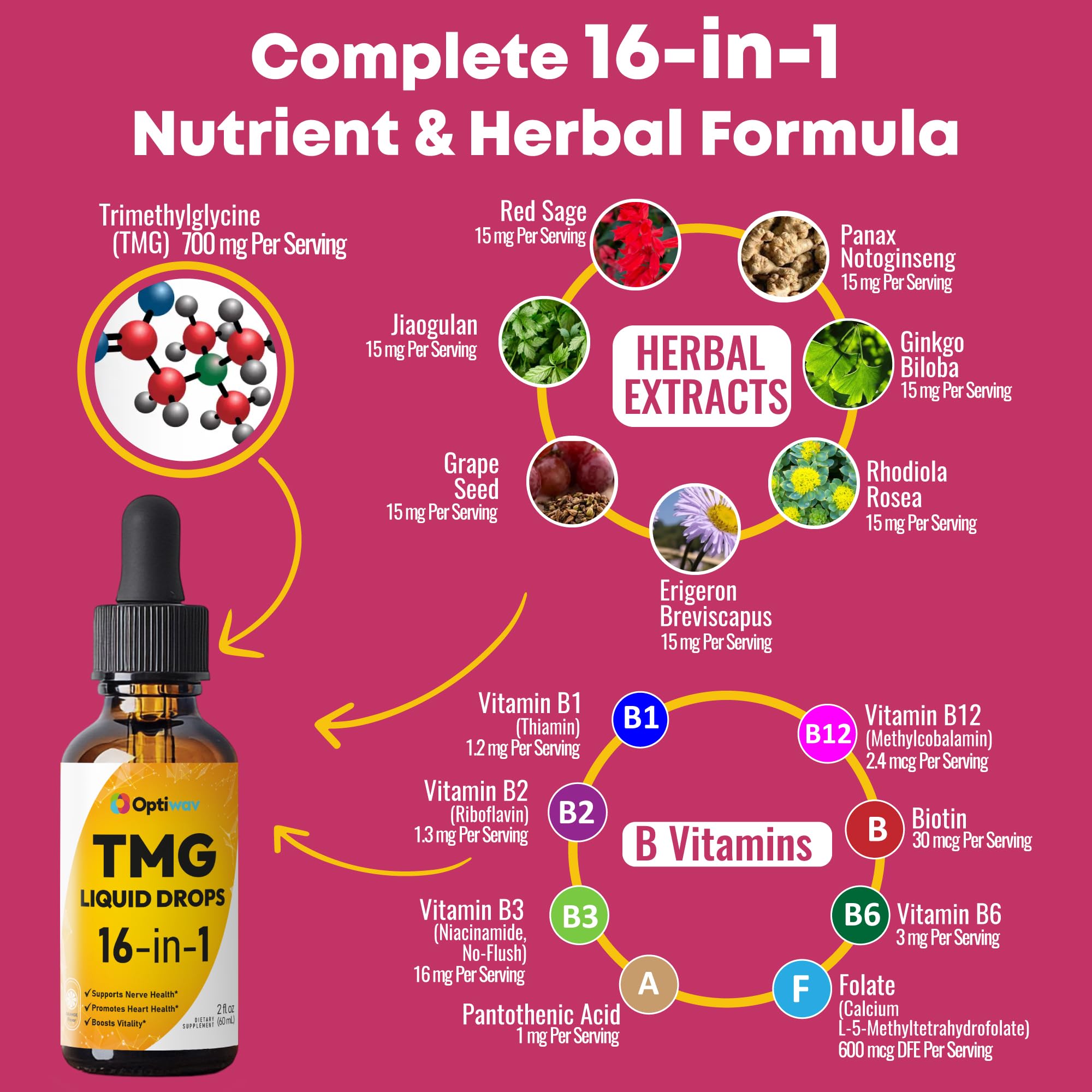 Optiwav TMG Trimethylglycine Liquid Drops - Betaine High Absorption Methylated Vitamins Supplement for Homocysteine Methylation & Heart Health Support - Orange Flavor Gluten Free Vegan - 2 fl oz OptiwavAu supplements