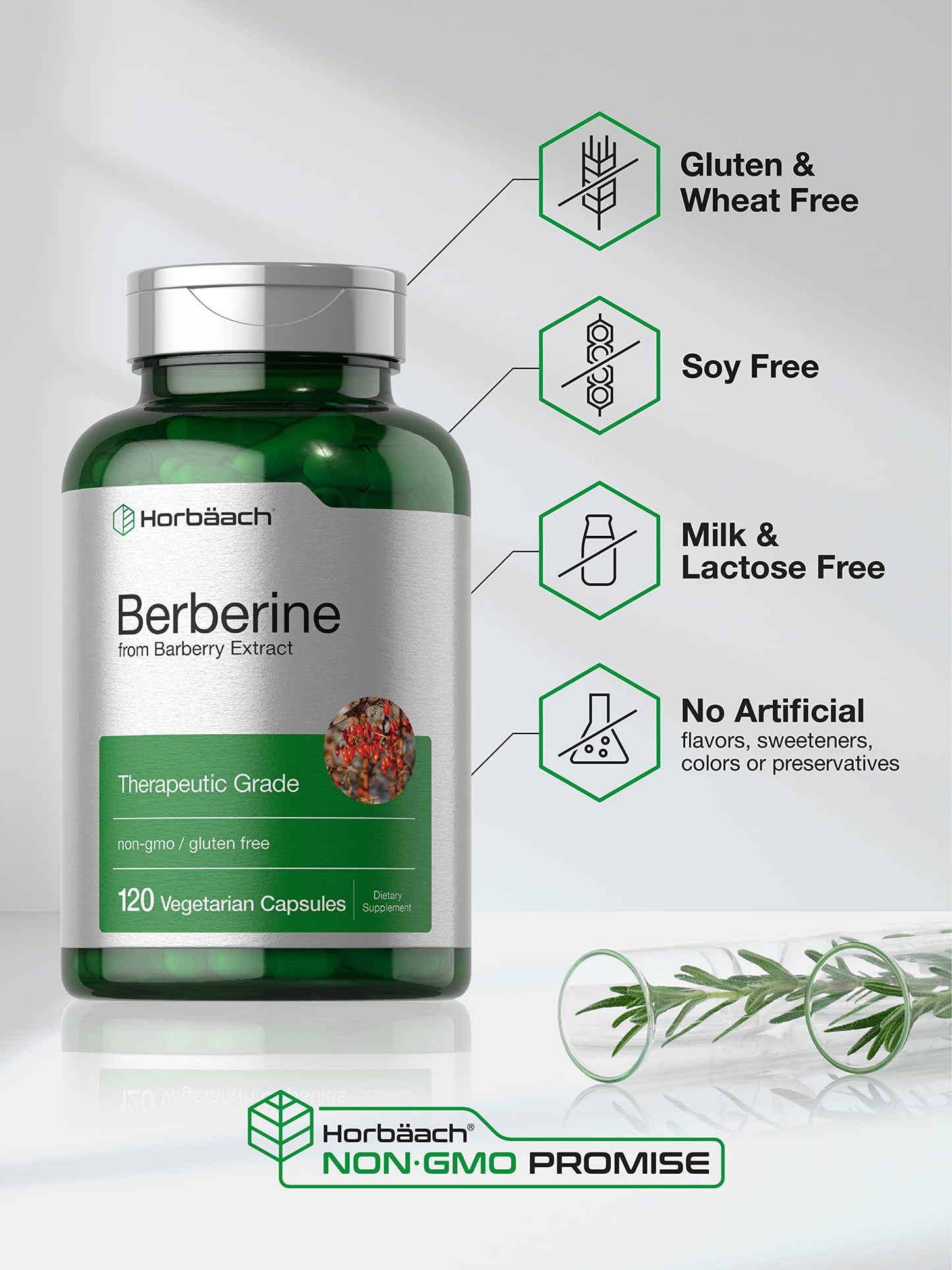 Berberine Supplement | 120 Capsules | Berberine HCl from Barberry Extract | Non-GMO HorbäachUS supplements