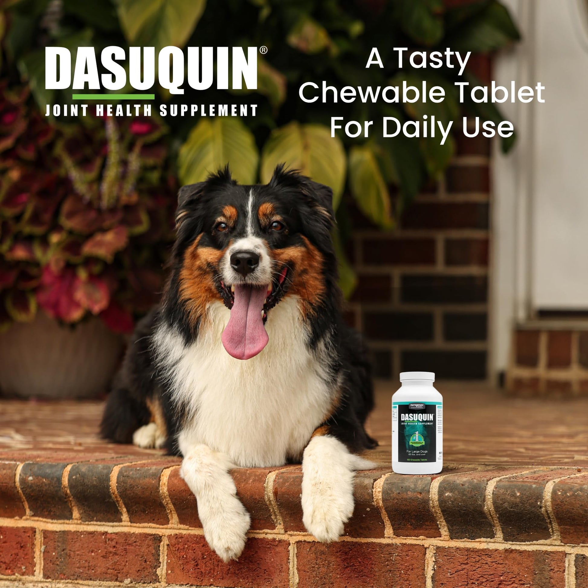 Nutramax Dasuquin for Large Dogs, Joint Health Supplement, Contains Glucosamine for Dogs, Plus Chondroitin, ASU and More, Supports Healthy Joints, Chewable Tablets, 150 Count Nutramax LaboratoriesAu supplements