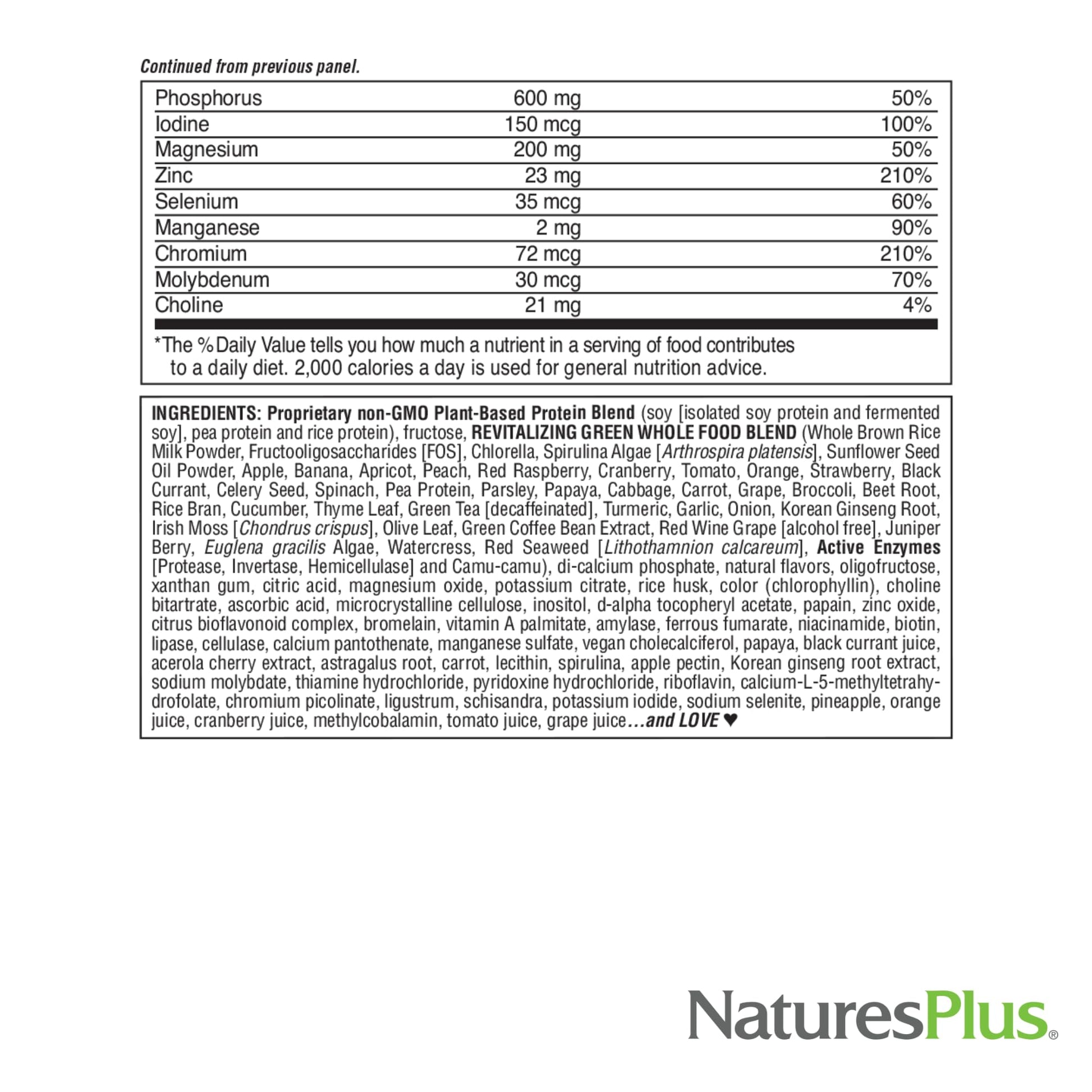 NaturesPlus FRUITEIN Revitalizing Green Foods Shake - 1.3 lbs - Plant-Based Protein (13g/Serving) - Supports Energy & Immune System - Vegetarian, Gluten Free & Non-GMO - 16 Servings NaturesPlusAu supplements
